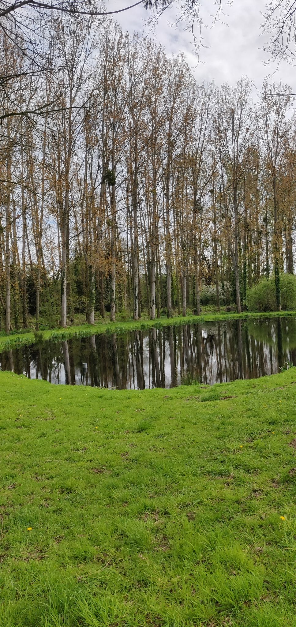 petite retenue d'eau