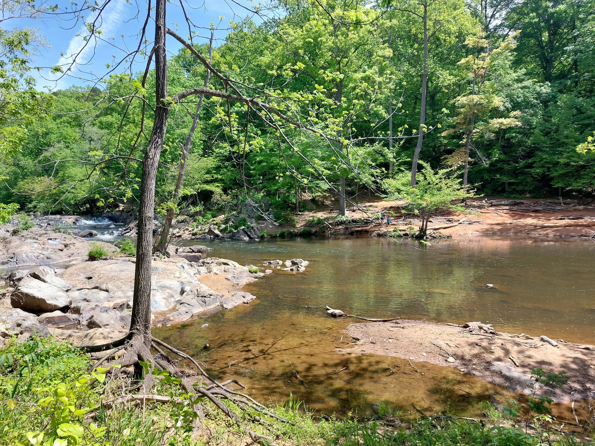 A rocky river with calm water, surrounded by lush green trees on a sunny day. - New Hope Creek Bridge – Brumley Nature Preserve loop from East Chapel Hill High School