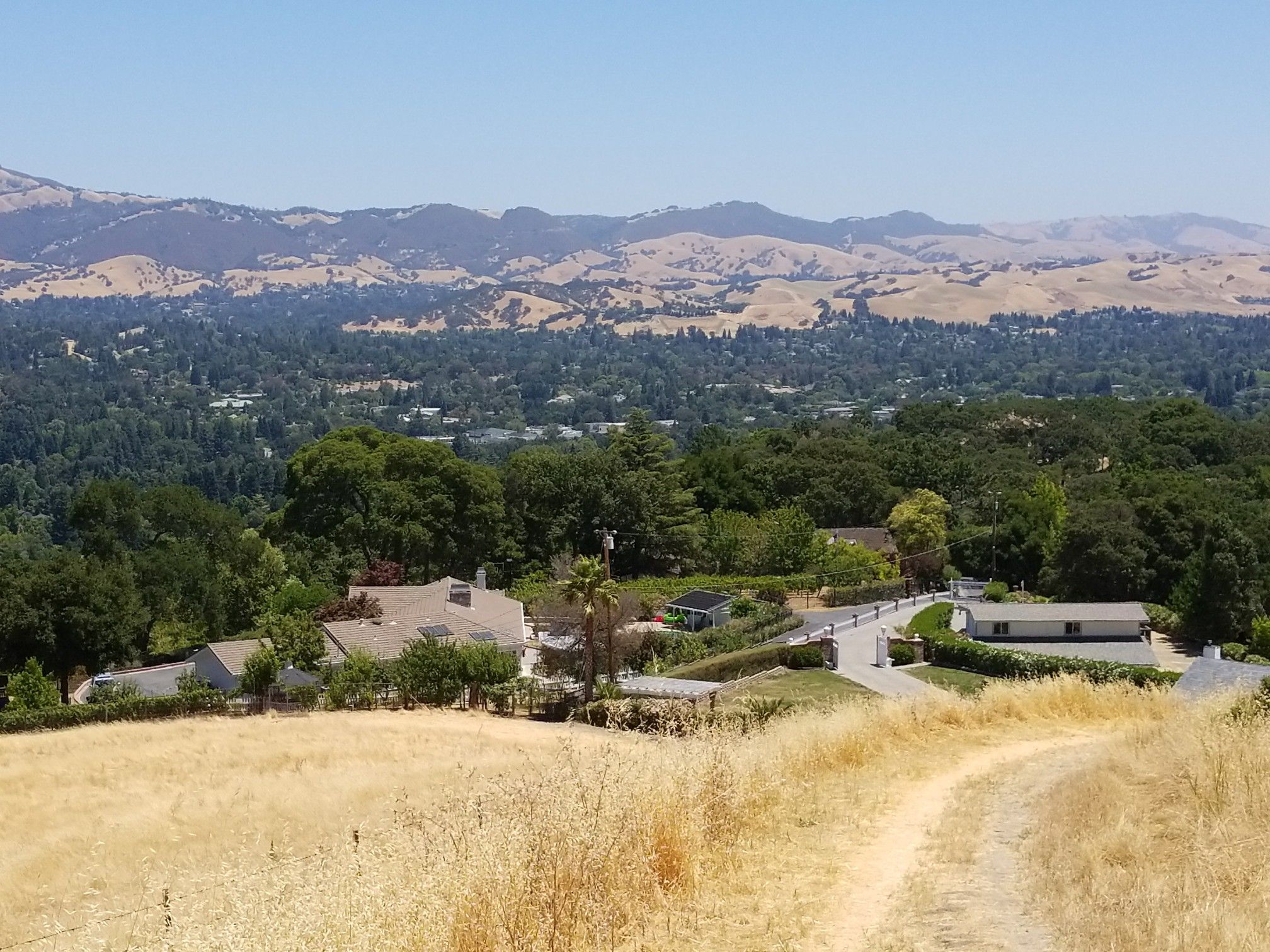 A dirt path overlooks a green valley with houses and distant mountains on a sunny day. - Del Amigo, Virgil Williams, and Madrone Trail Loop