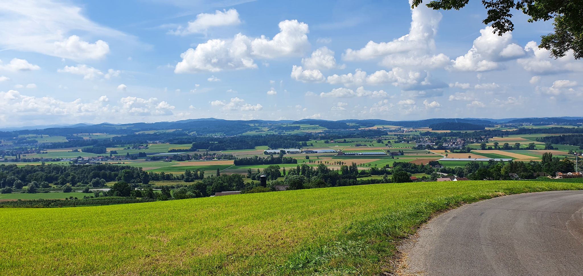Aussicht ab Iselisberg