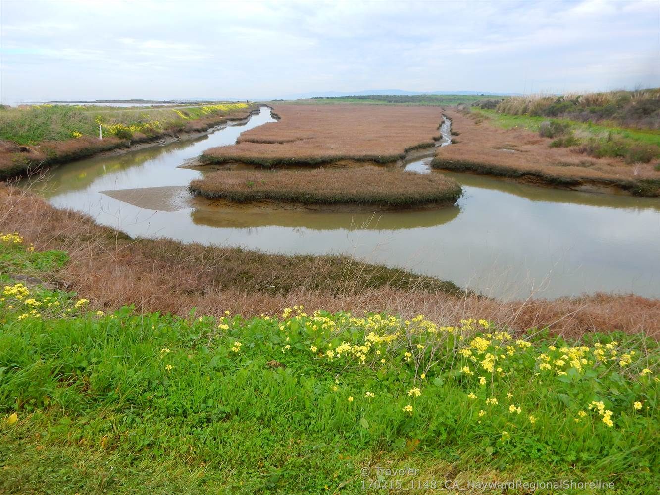 Winding waterway through marshland with green and brown grasses under cloudy sky. - San Francisco Bay Trail