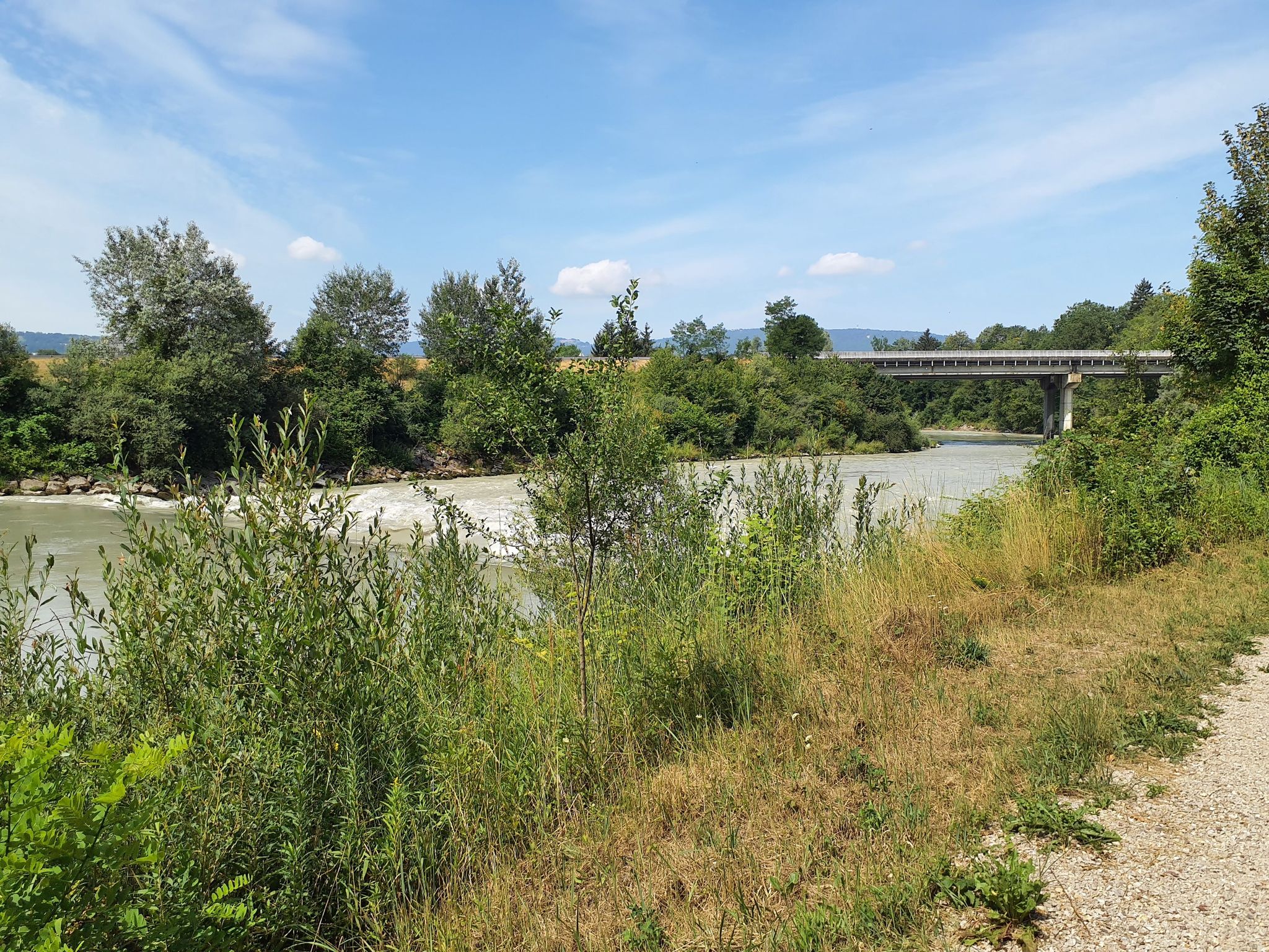 Toulurenc in groß und wild