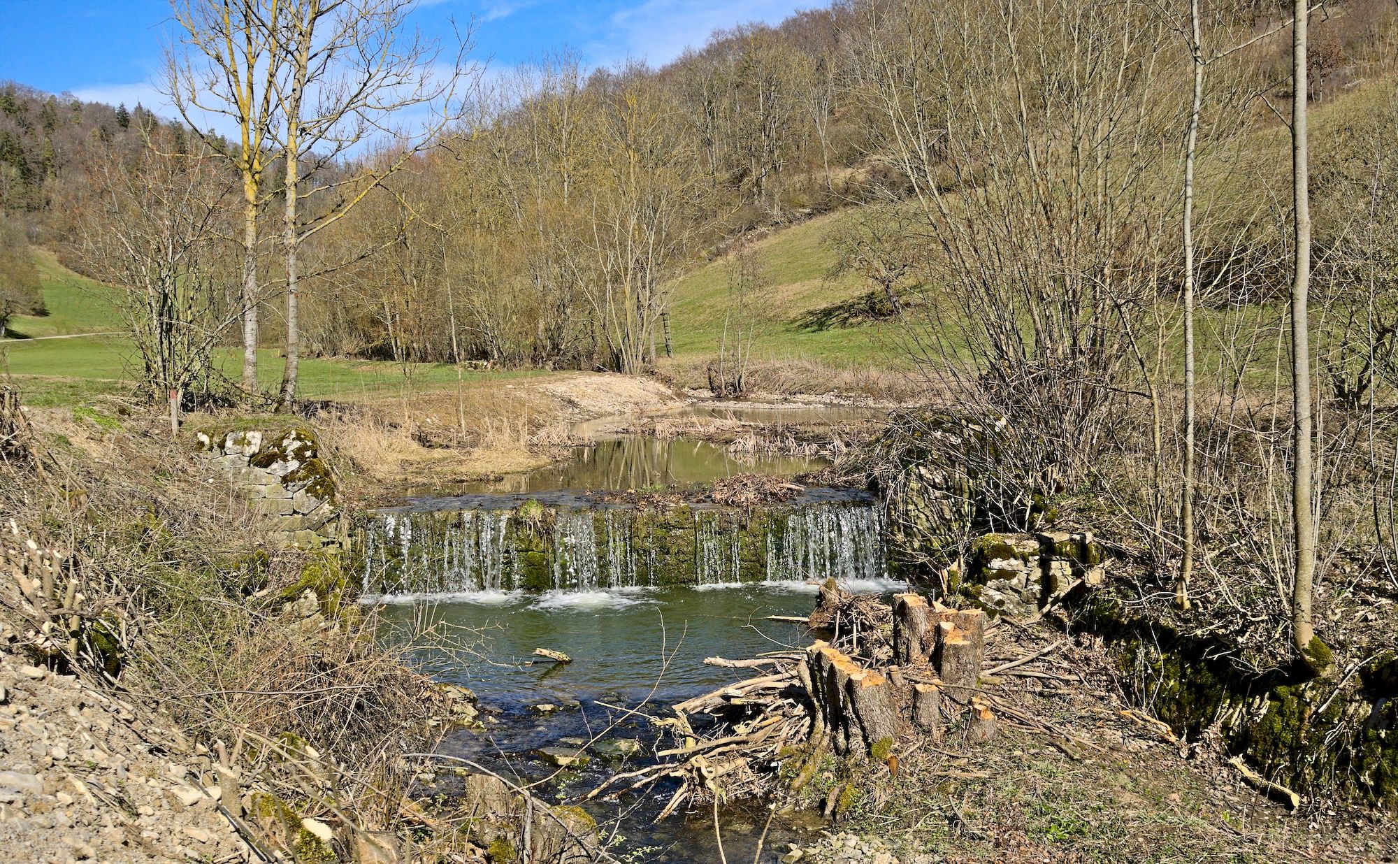 Der Gickelhausener Bach