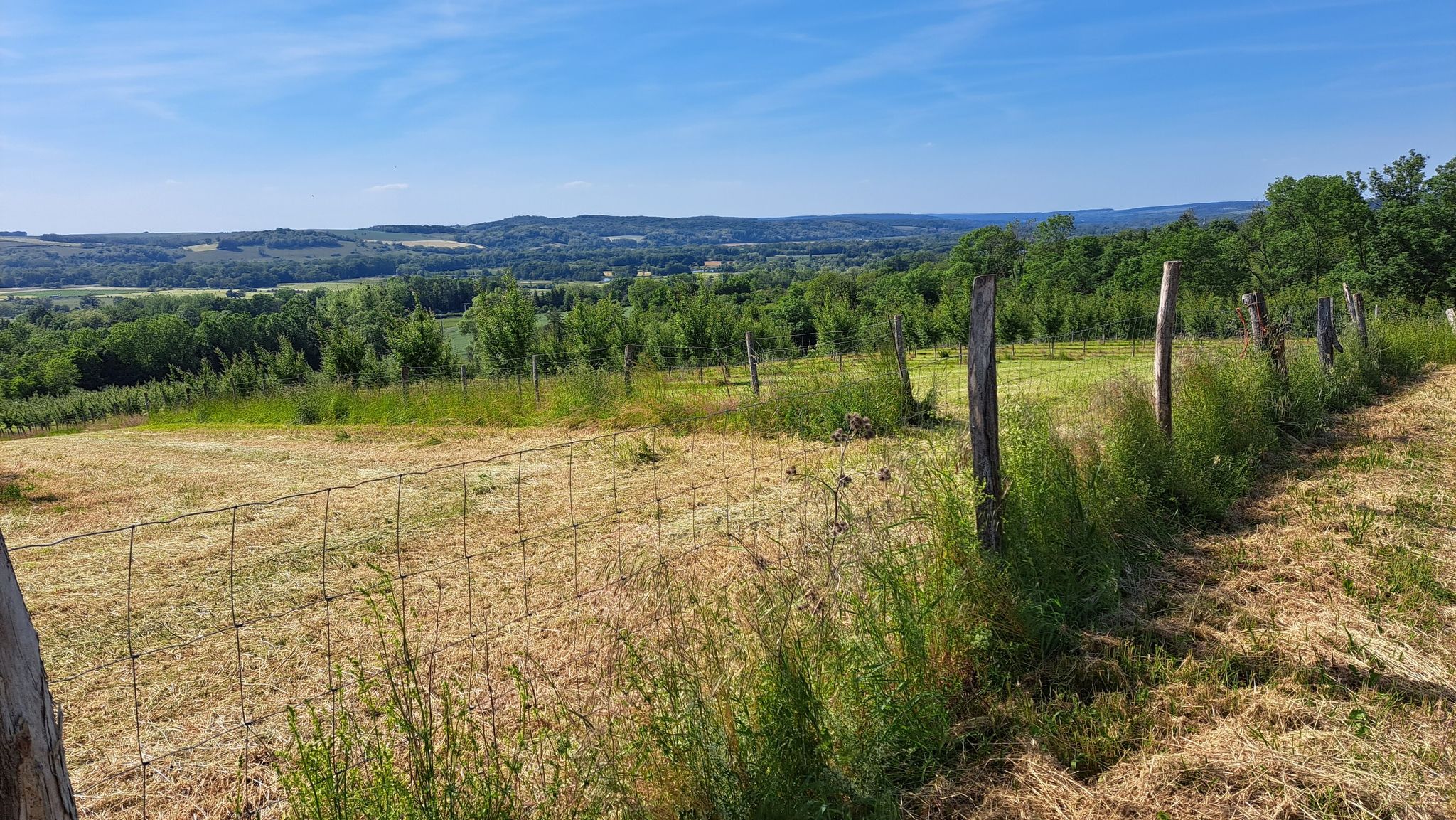 Vue sur la vallée de la Moselle