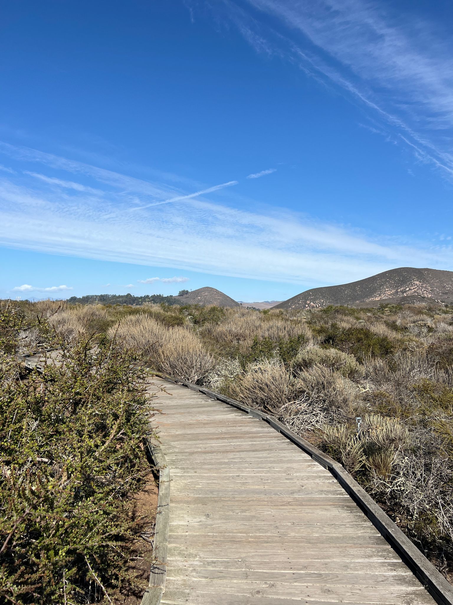 A wooden boardwalk winds through dry scrubland towards distant hills under a clear sky. - Orchid Loop