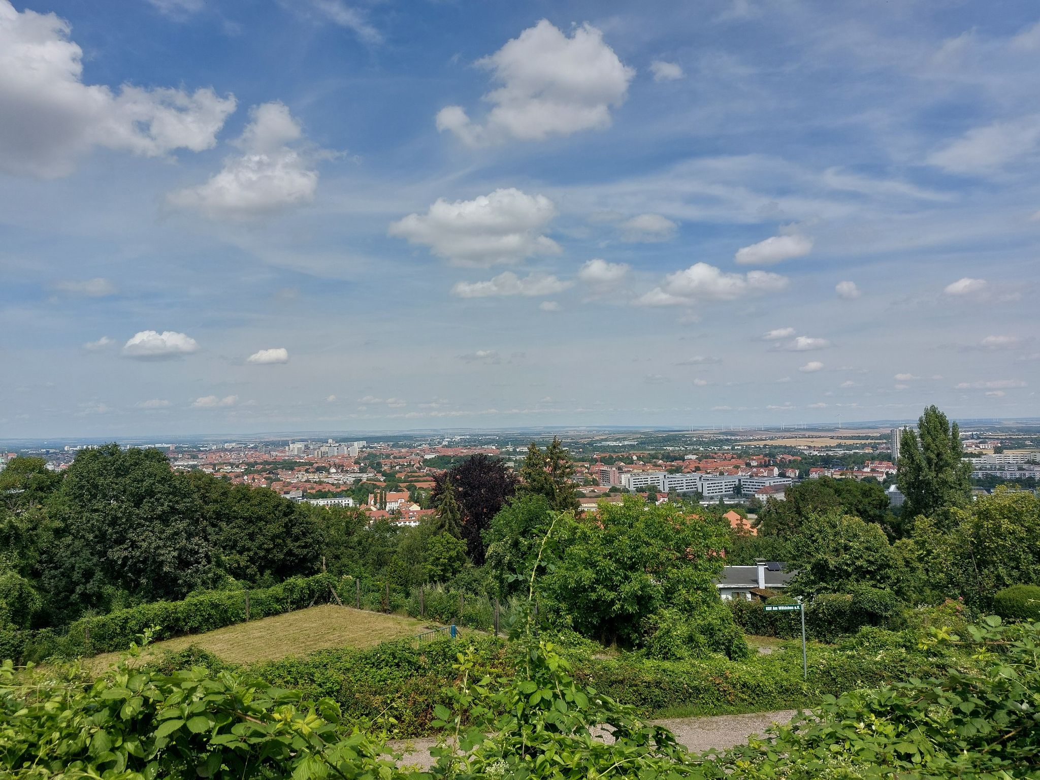 Blick auf Erfurt