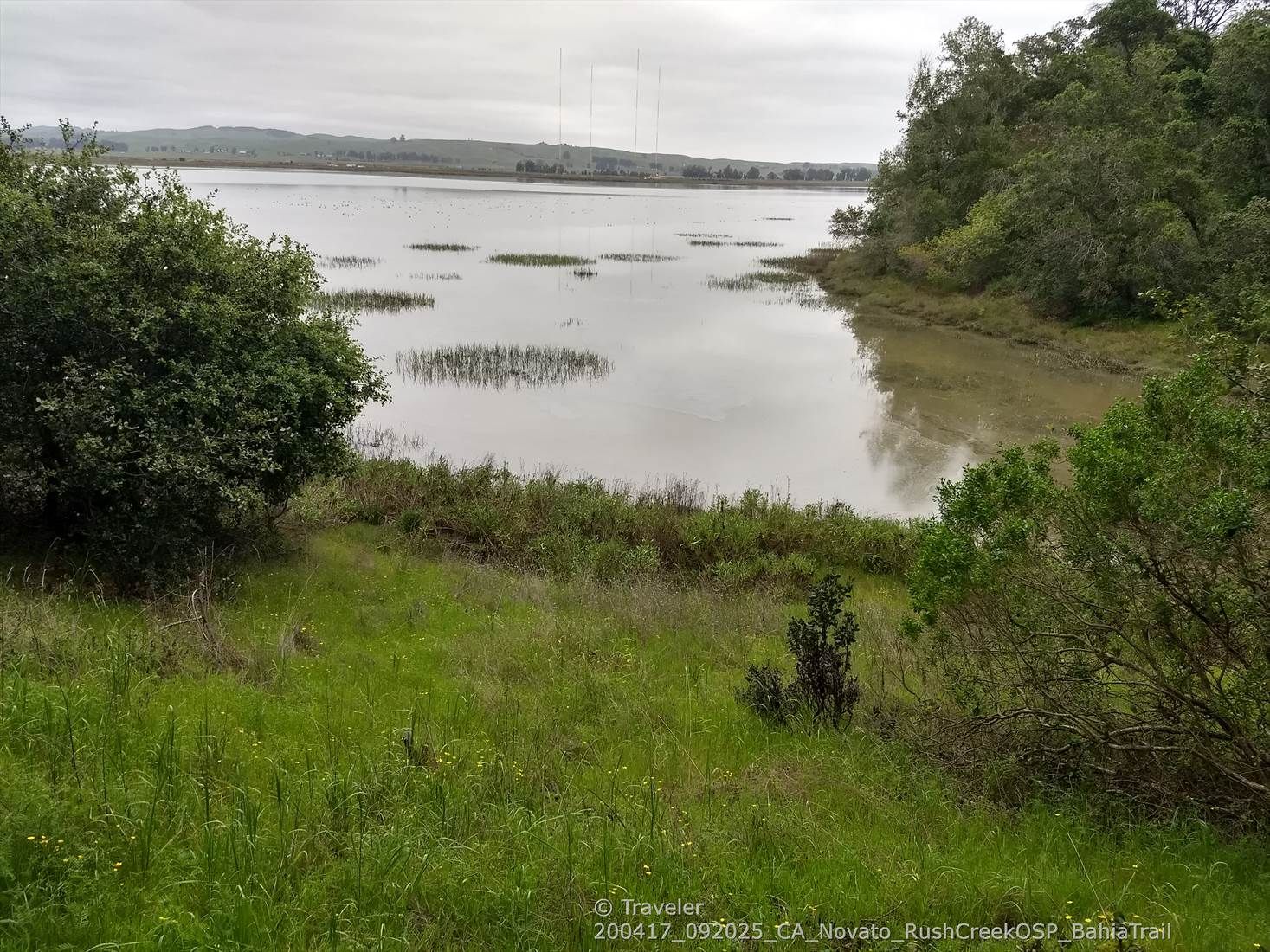 Calm lake with grassy foreground, surrounded by bushes and wooded shoreline. - Bahia Trail – Bahia Trail loop from Bahia Wildlife Habitat