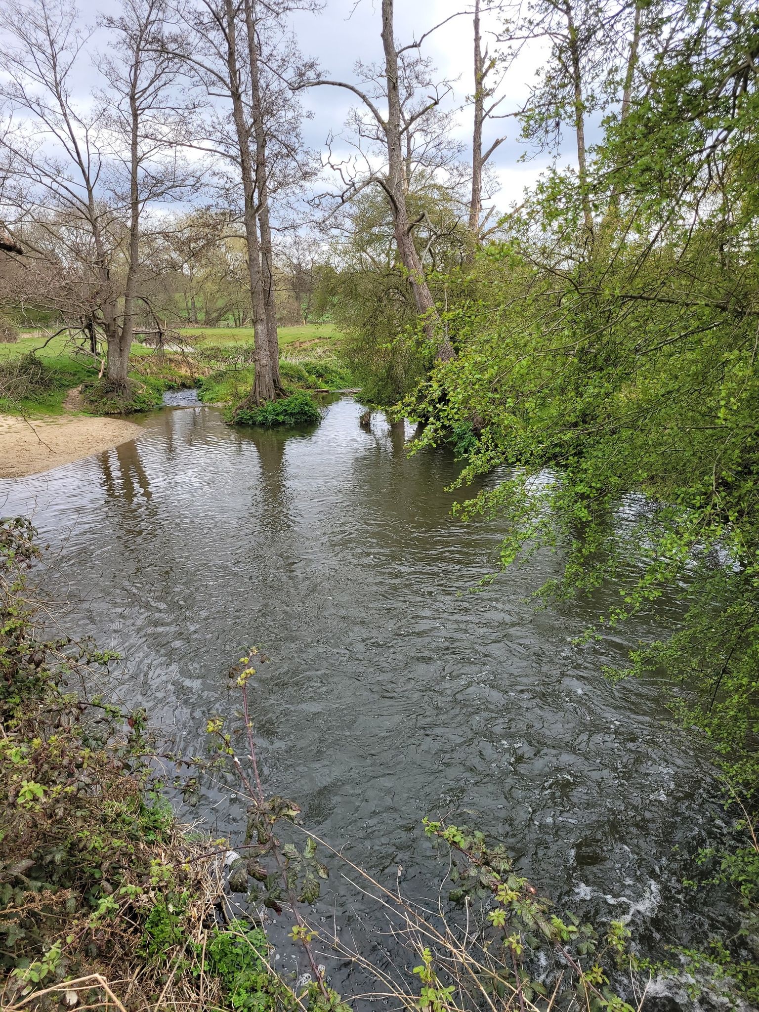 Stream