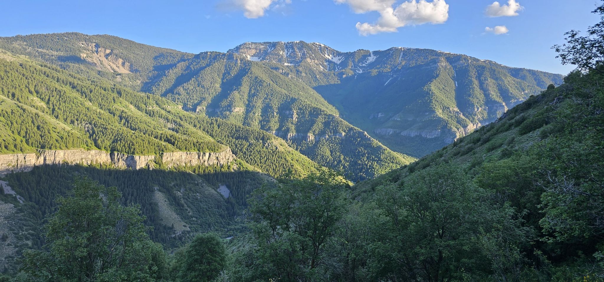 Sunny mountain valley with green forests, snow-capped peaks, and blue sky. - Wind Cave and Beirdneau Trail
