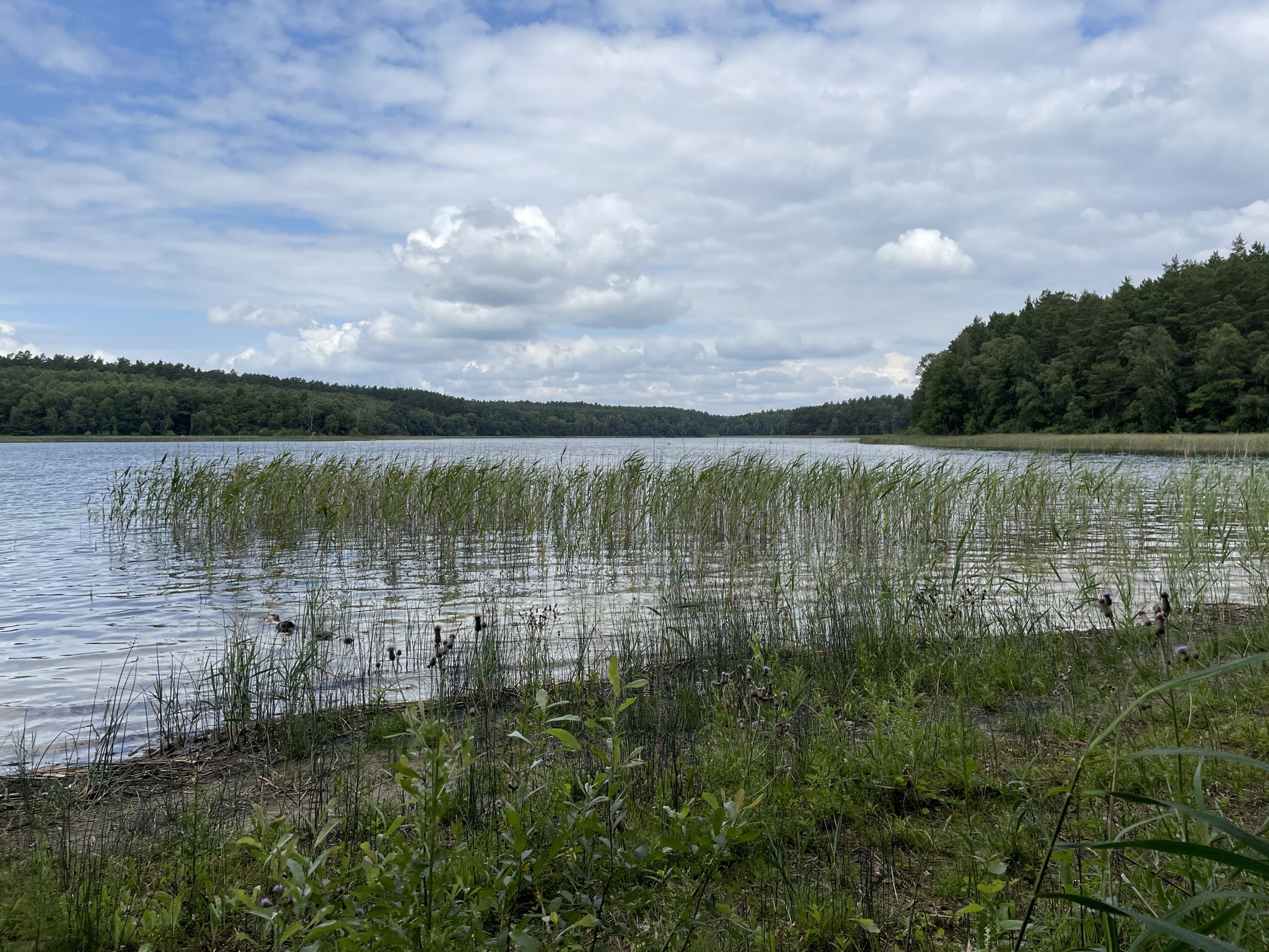 Krümmer See