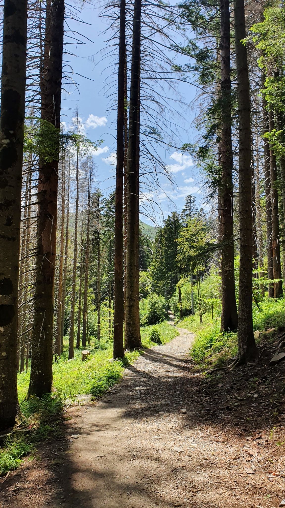 vicino a lagdei