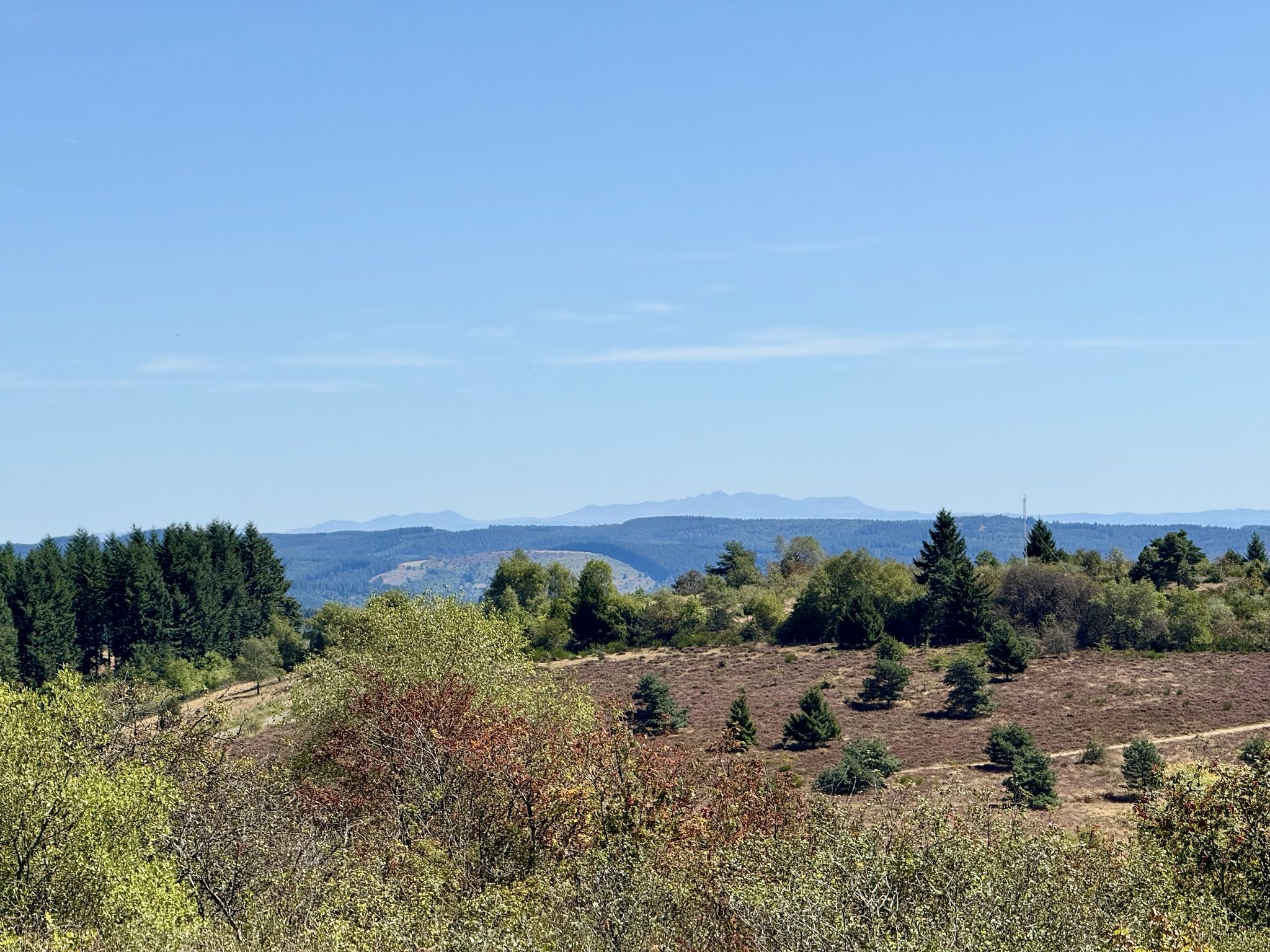 Am Horizont: Puy de Sancy (voriges Jahr)