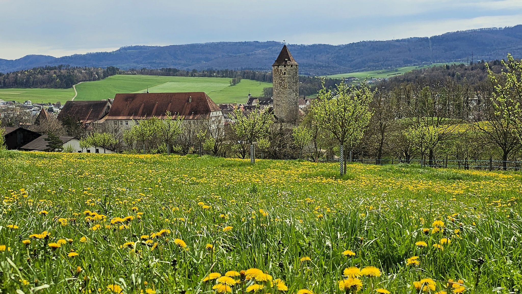 Der Wanderweg oberhalb des Schlosses bietet einen herrlichen Blick in die Landschaft