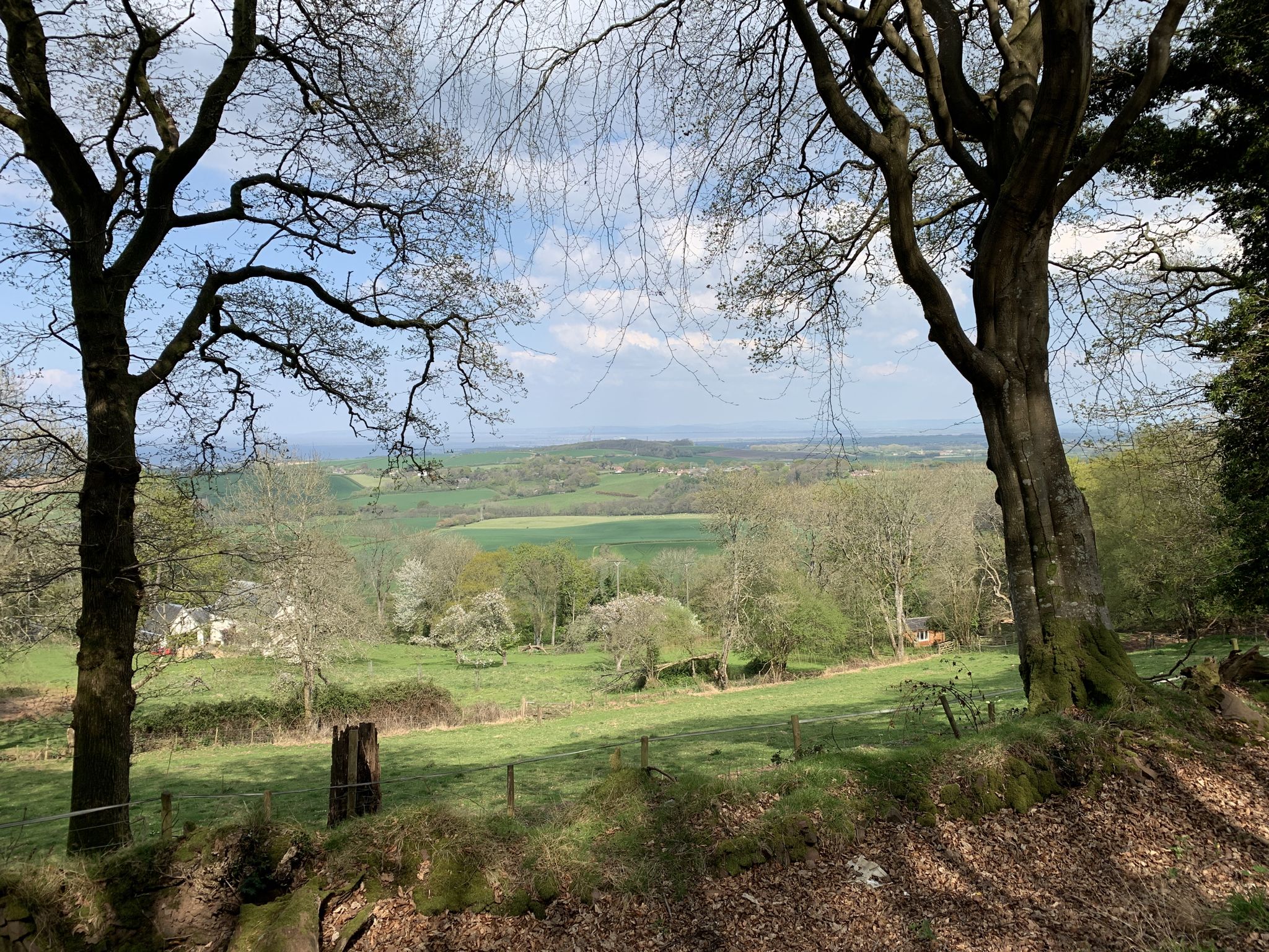 Views across fields to the coast