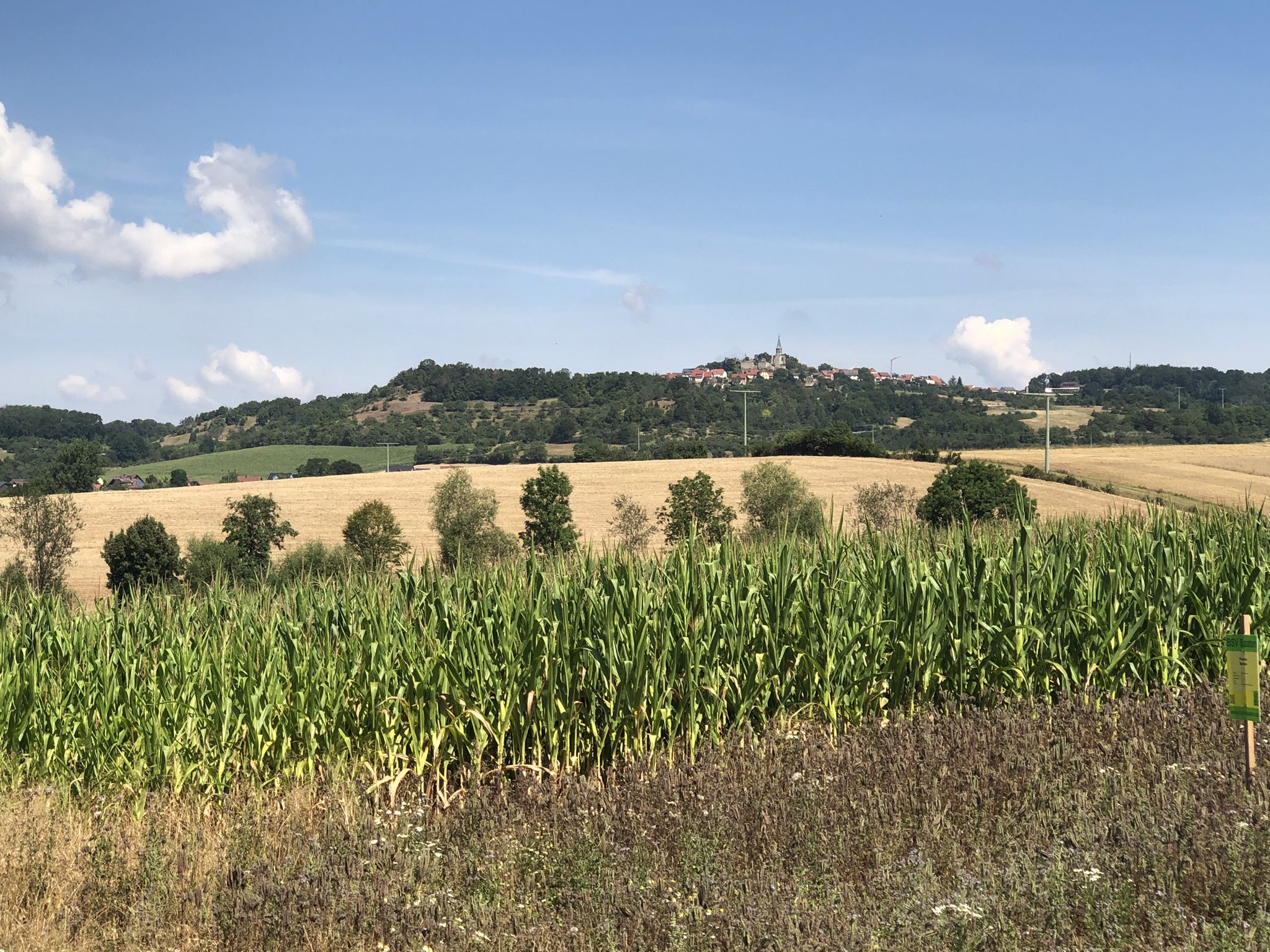Altenstein