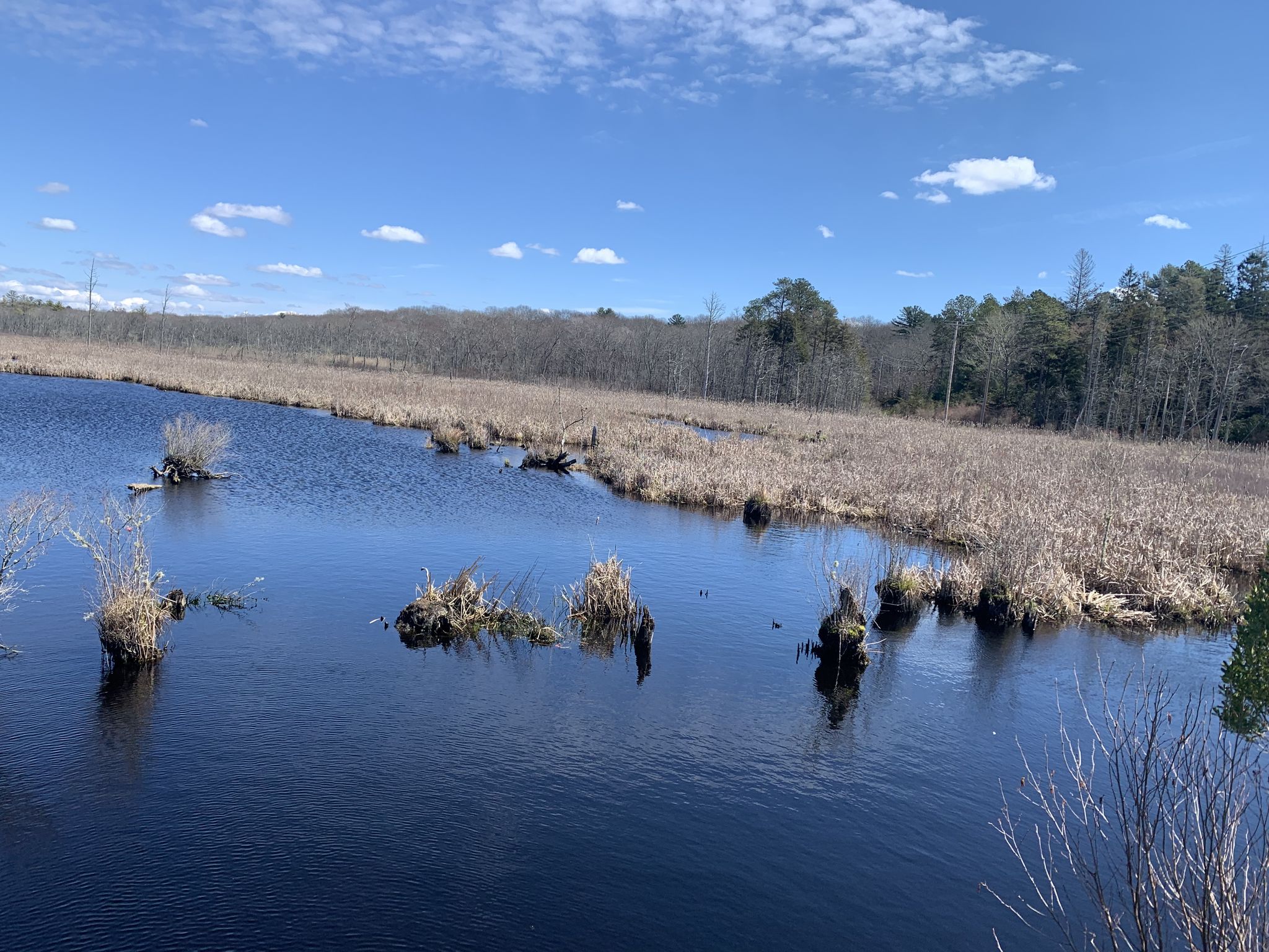 Dark blue water with dry grass islands, marshland, and distant trees, bright sky. - William C. O'Neill Bike Path - Worden Pond Loop
