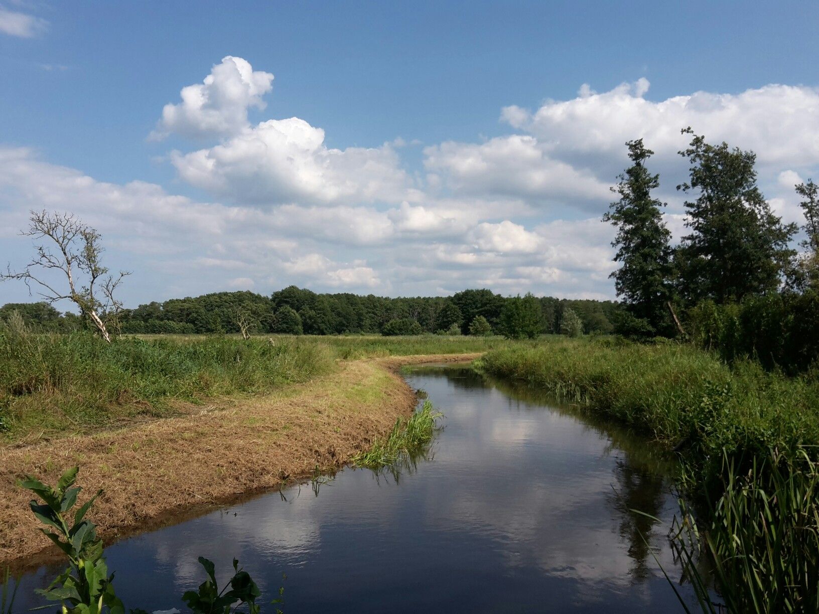 Am Golmer Mühlenbach 