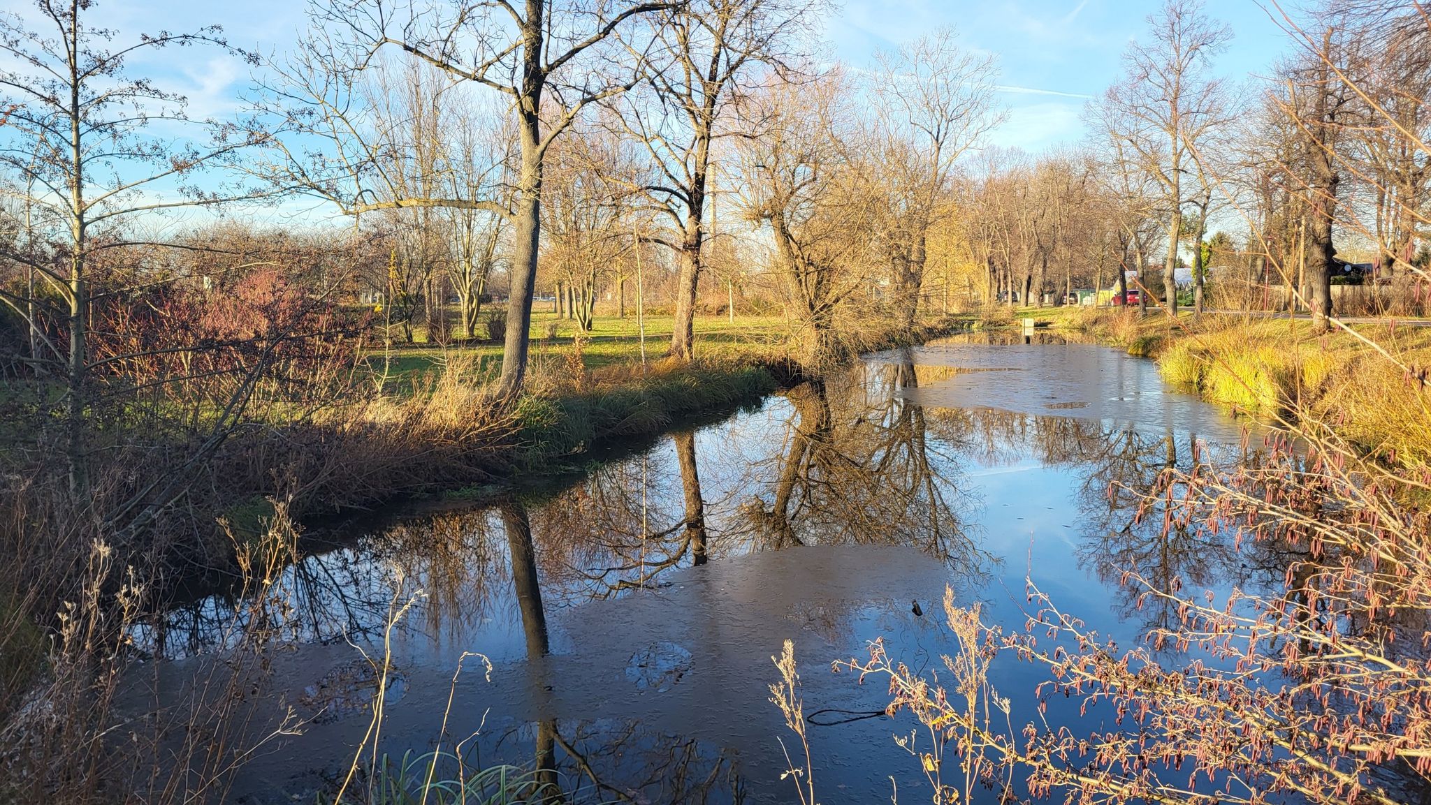 Zurück im Schlosspark