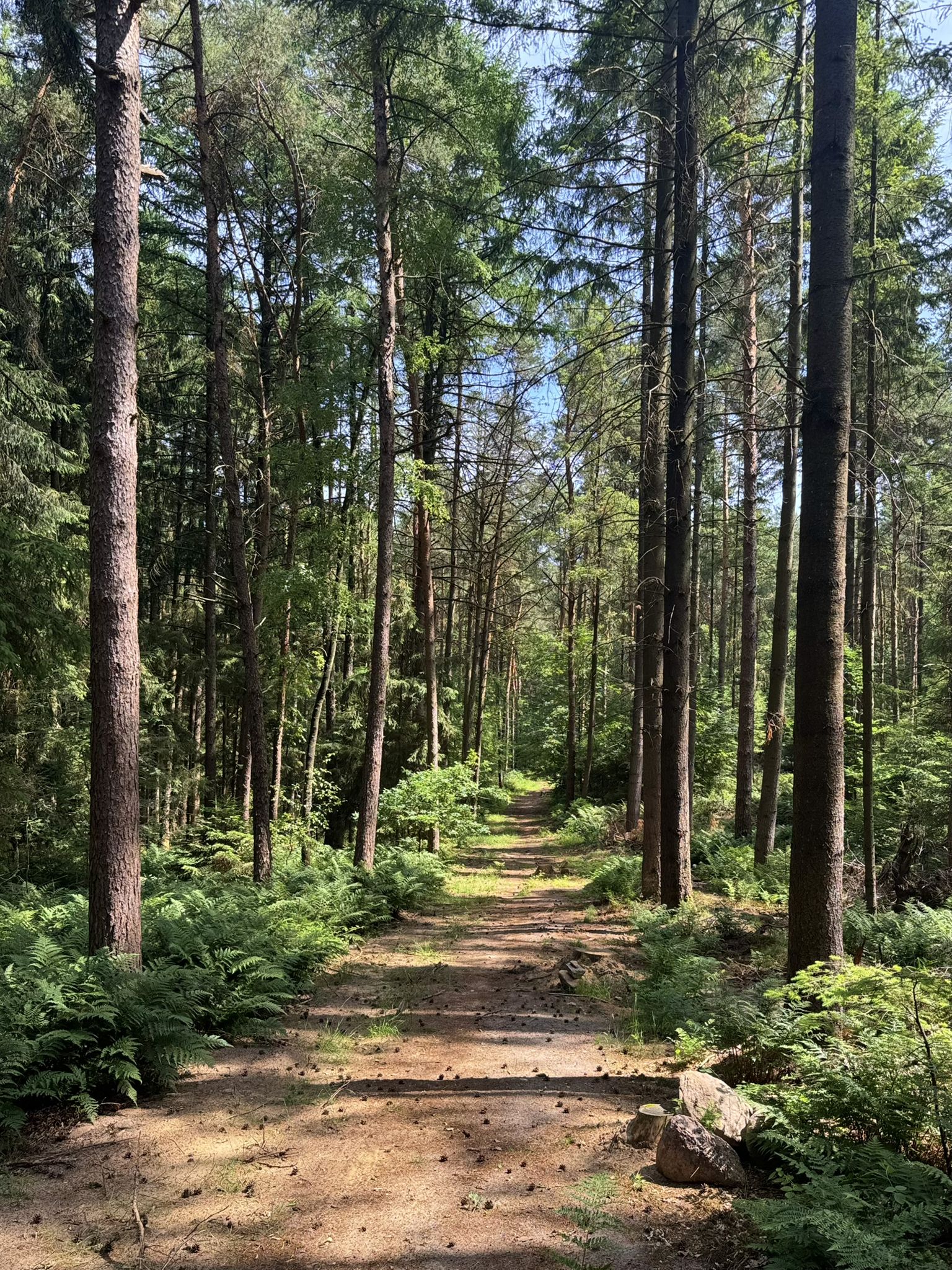 Schöner Weg