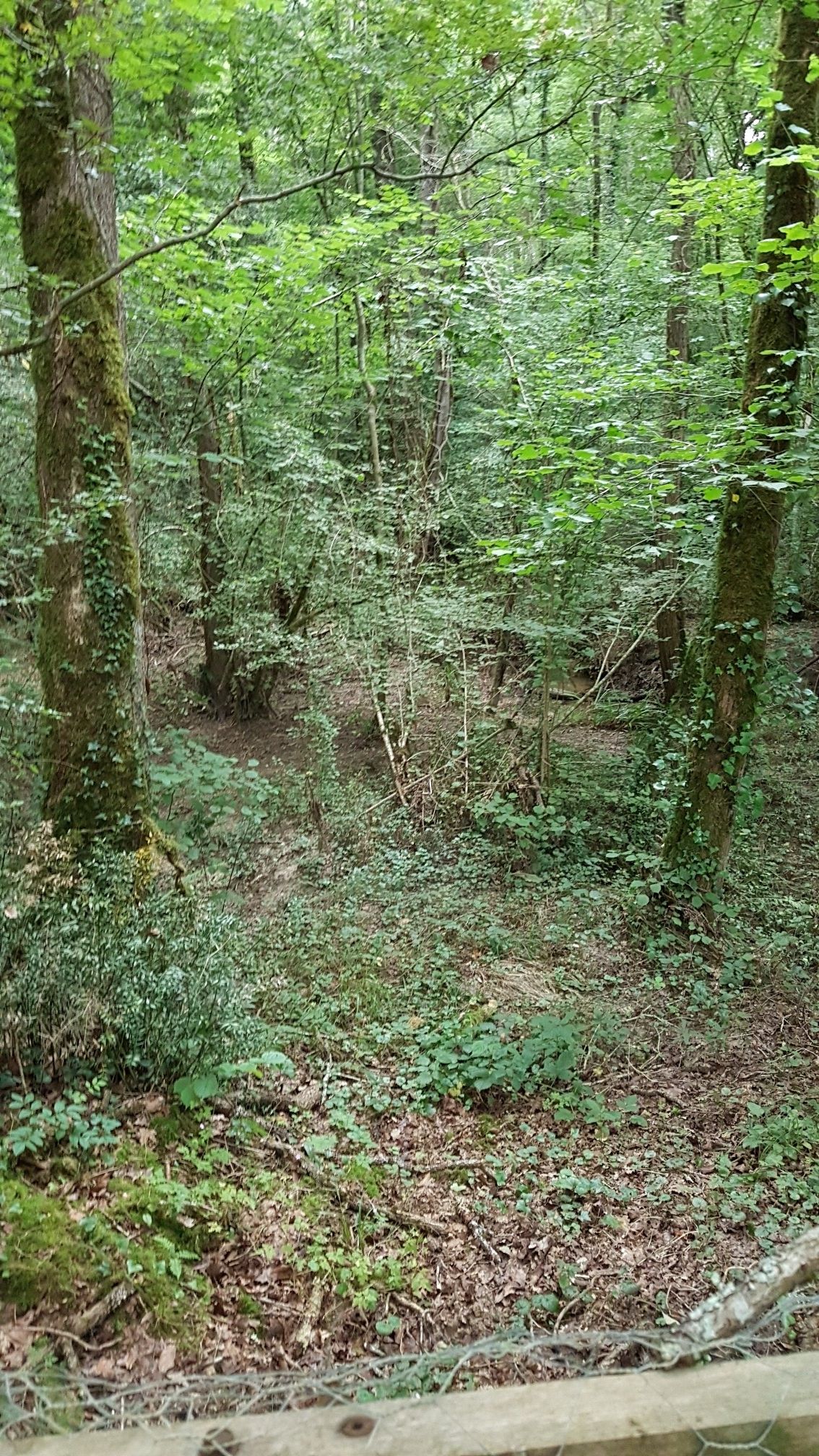 not really a path