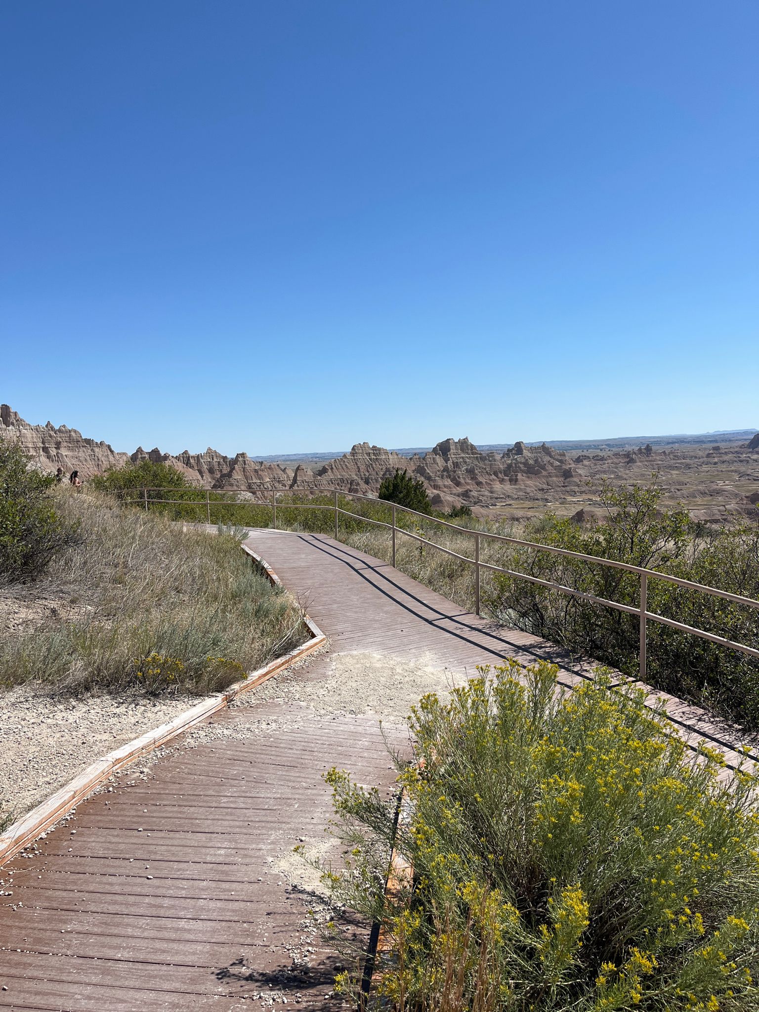 A winding wooden boardwalk path with railings leads through a grassy, rocky landscape under a clear blue sky. - Cliff Shelf Nature Trail