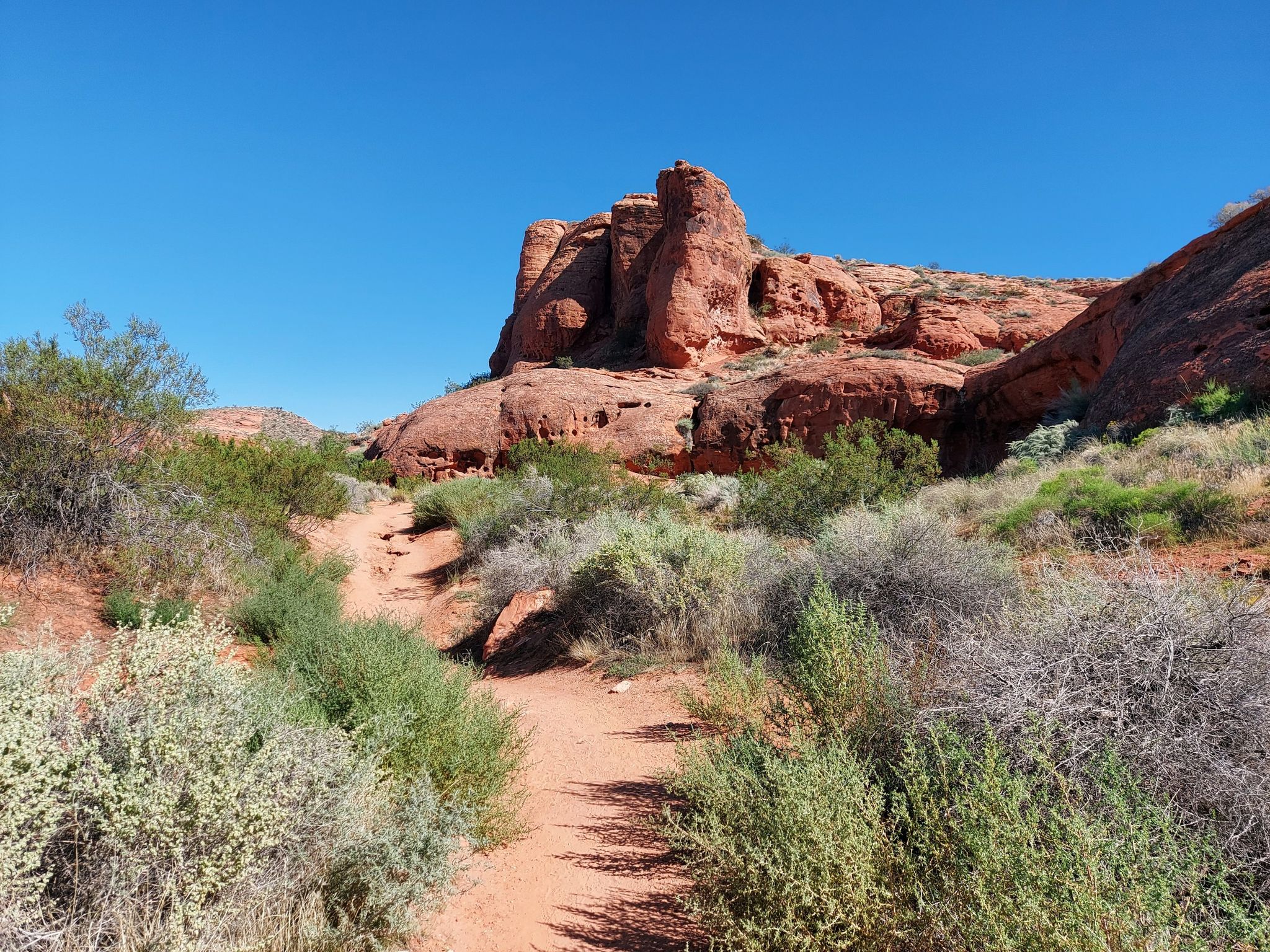 Red dirt path leads through green bushes to large red rock formations. - Beck Hill and Paradise Rim Loop