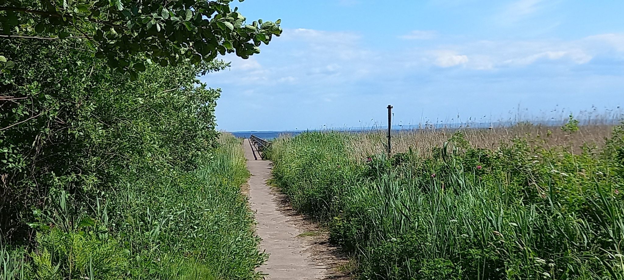 schöner Radweg entlang der Küste