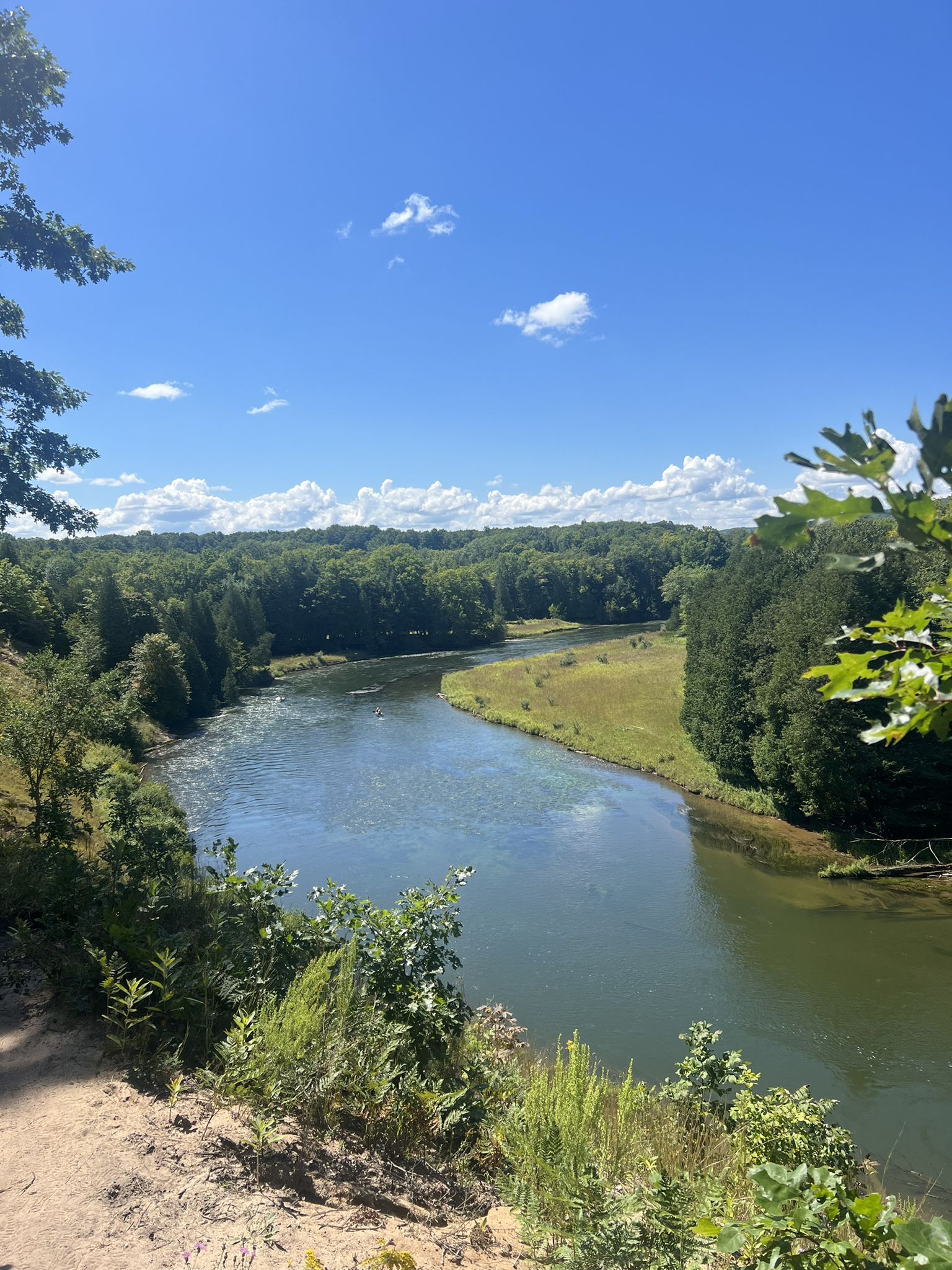A winding river flows through a lush green forest under a bright blue sky. - Manistee River loop from Slagle Creek Overlook