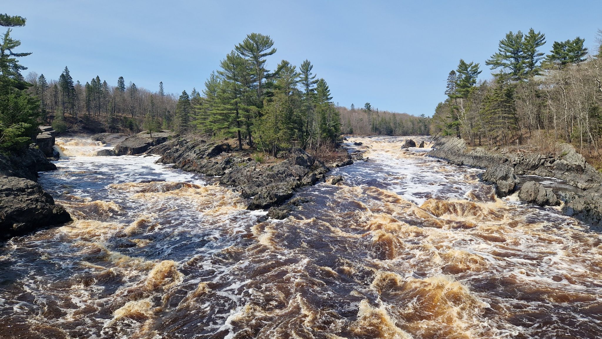 Turbulent, brown river splitting around a rocky, forested island under a bright sky. - Silver Creek Trail