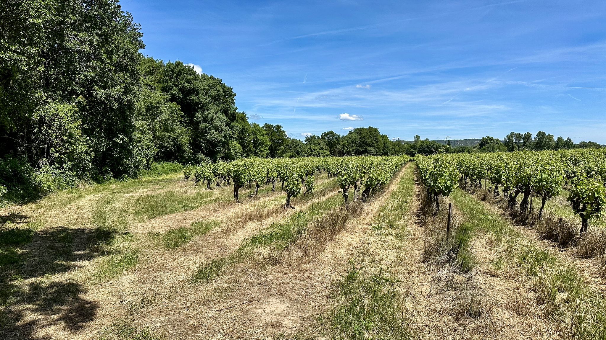 ...und sind direkt beim Wein gelandet😋😇...