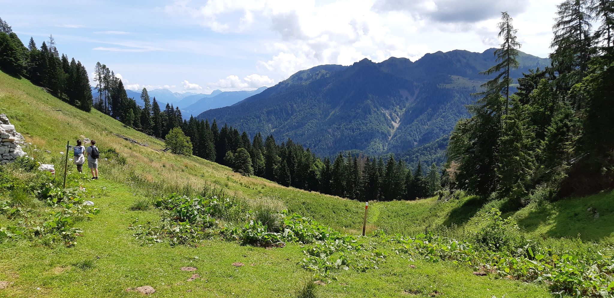 Panorama1