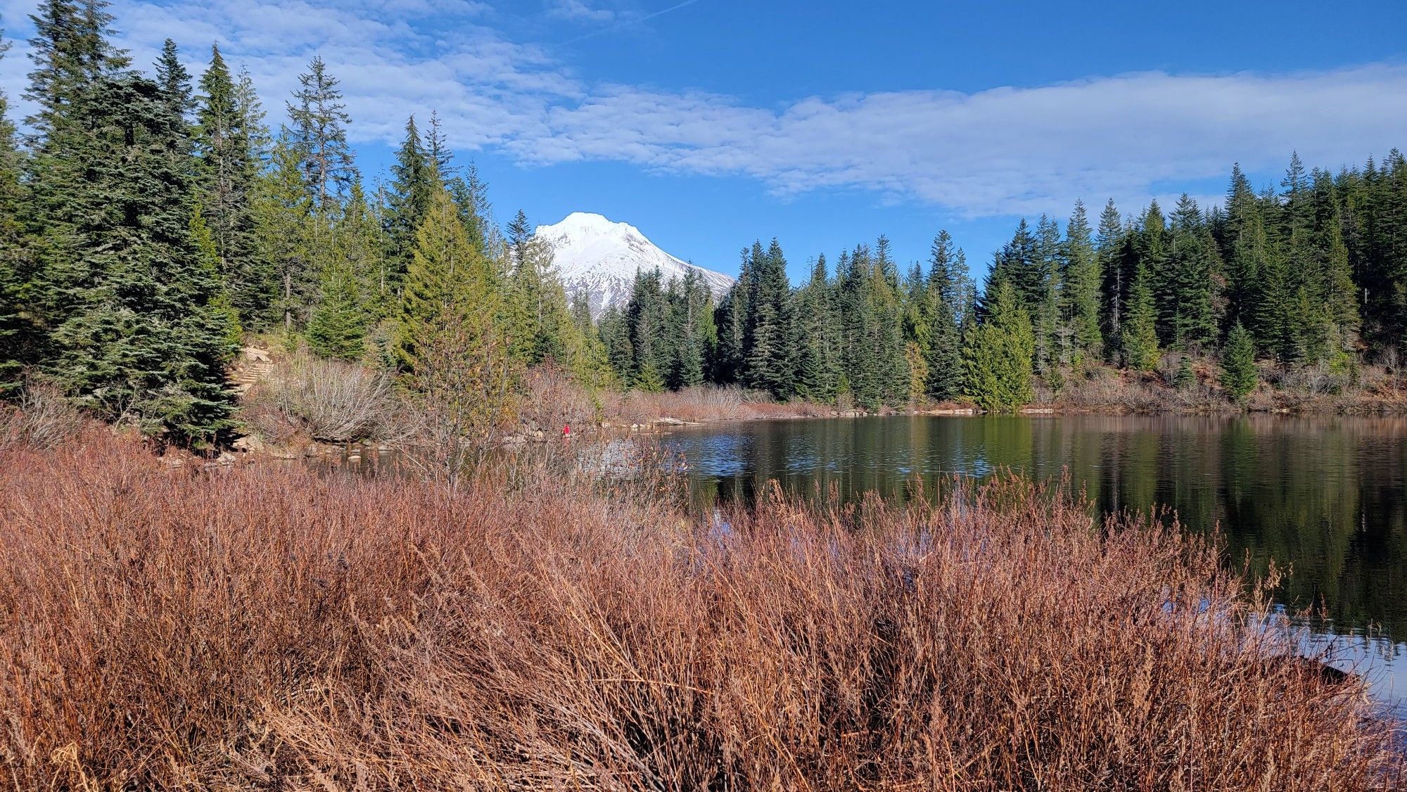 Sunny lake with brown reeds, evergreen forest, and snow-capped mountain under blue sky. - Mirror Lake Trail