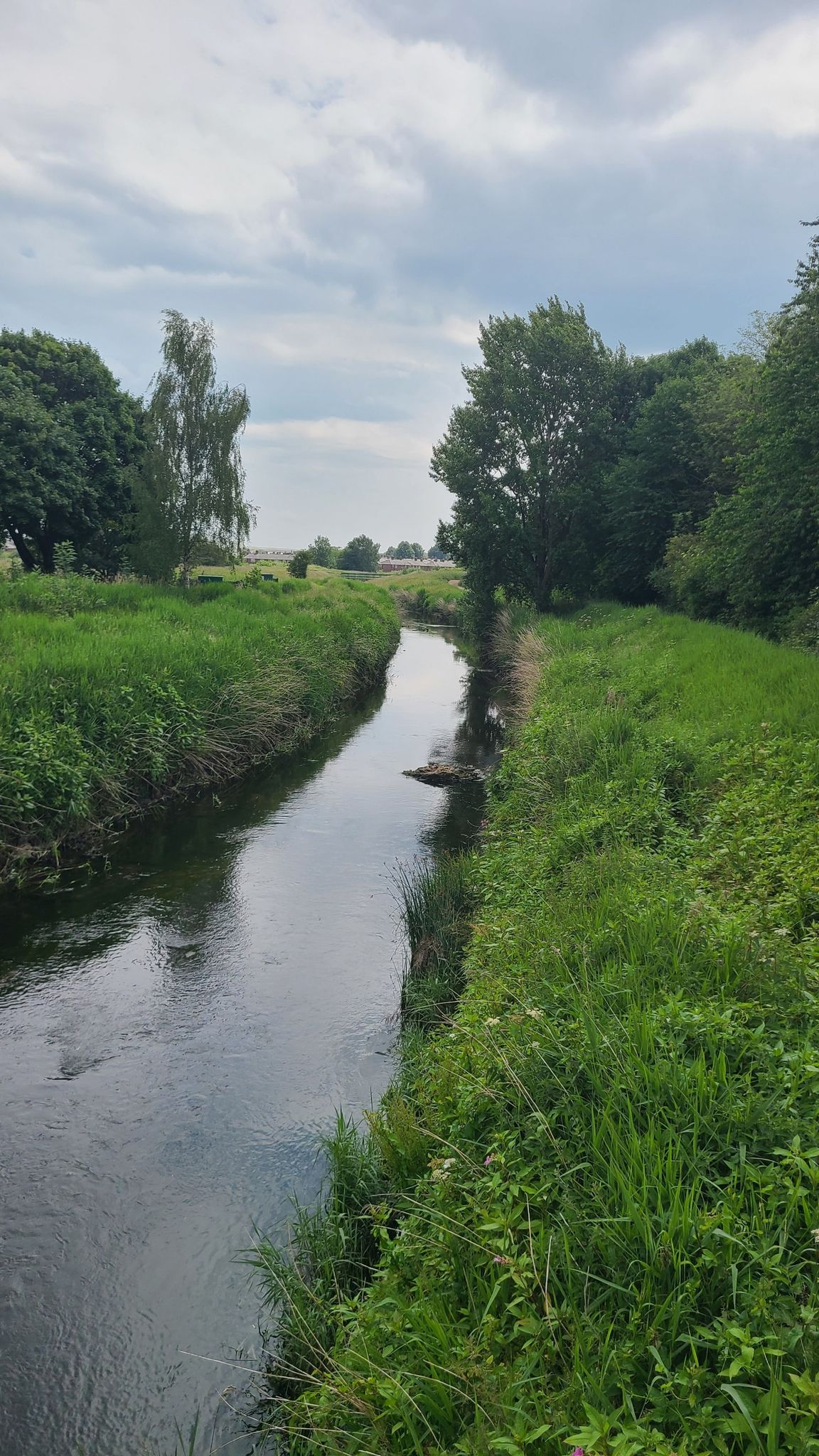 Sankey Brook