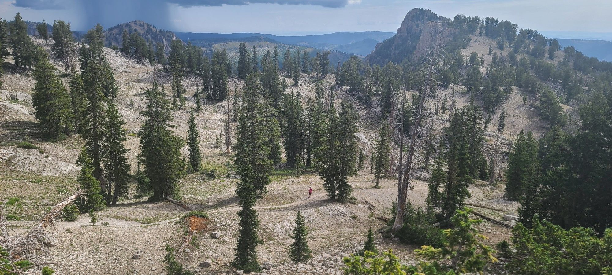 Panoramic mountain landscape with pine trees, rocky terrain, and a distant hiker under cloudy skies. - Naomi Peak Trail