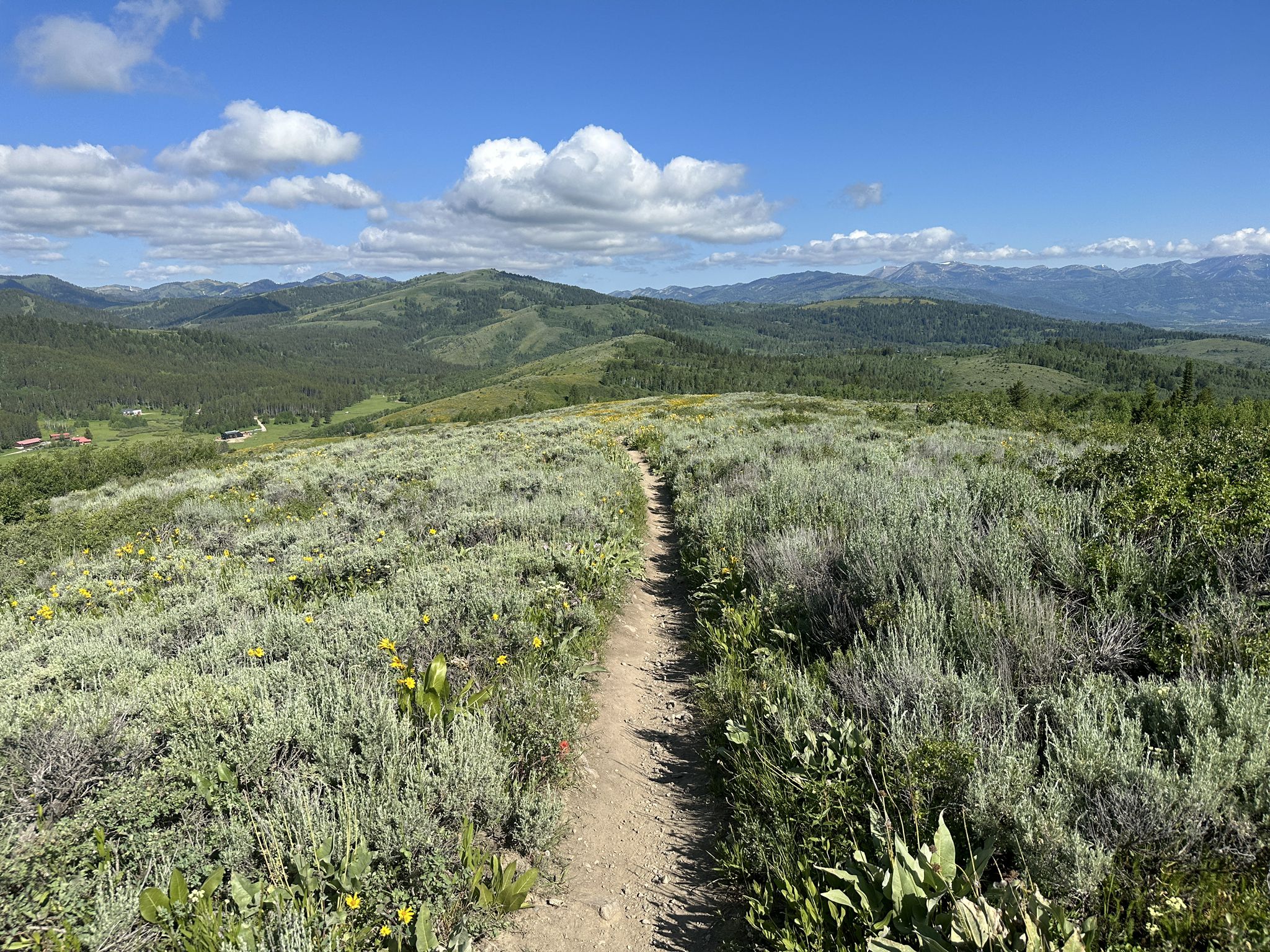 Dirt path winding through sunlit green hills under a blue sky. - Wally World and Tuscany Trail Loop