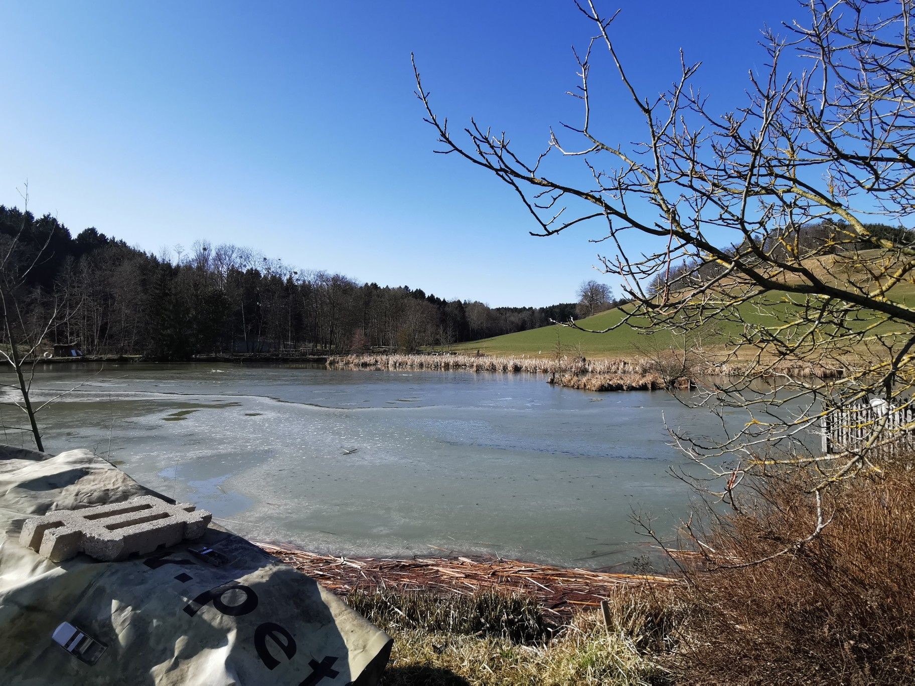 Fischteichanlage