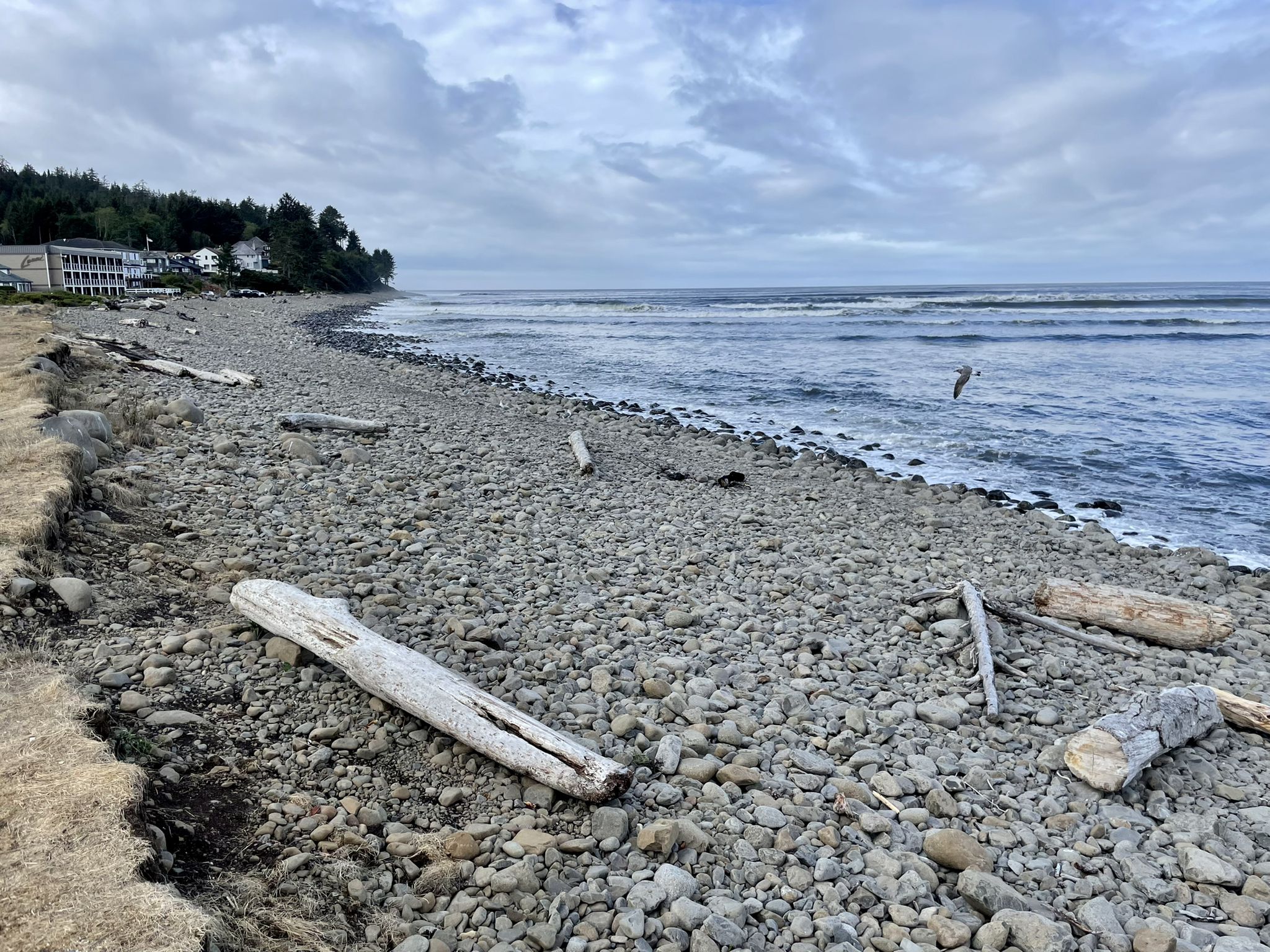 Rocky beach with driftwood, ocean waves, and distant houses under an overcast sky. - Oregon Coast Trail: Seaside Promenade