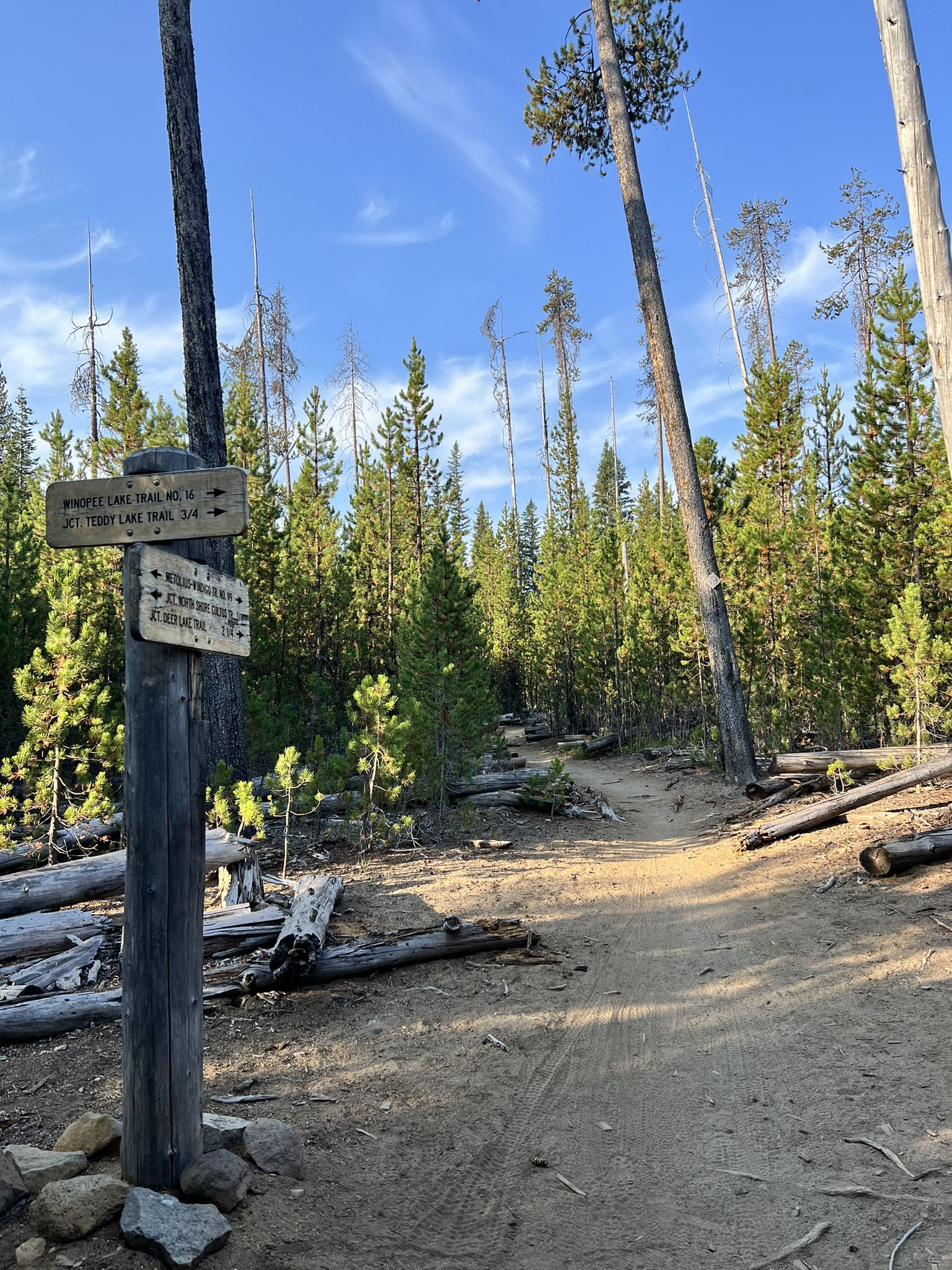 A wooden trail sign on a dirt path through a sunlit forest. - Cultus Lake loop