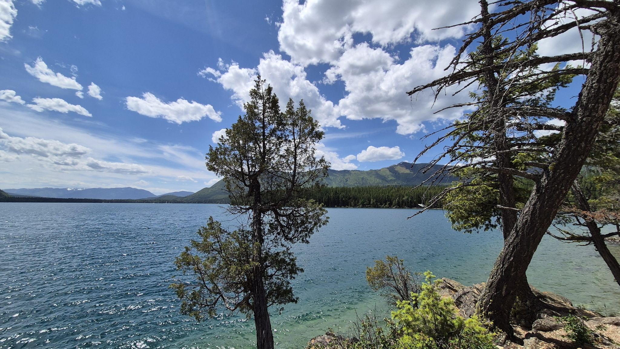 Wide blue lake with rugged pine trees and distant mountains under a cloudy sky. - Rocky Point Trail