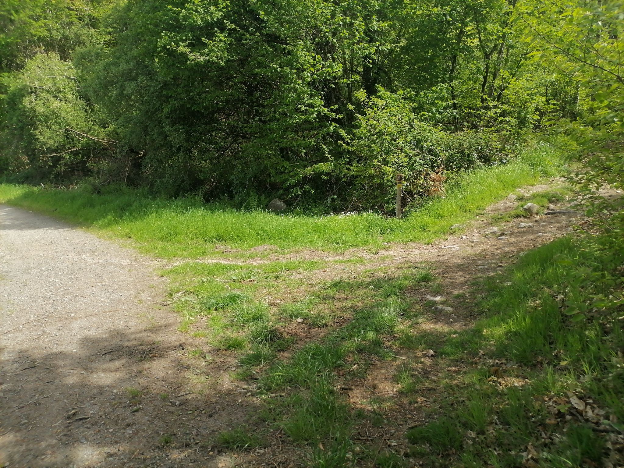début zone B