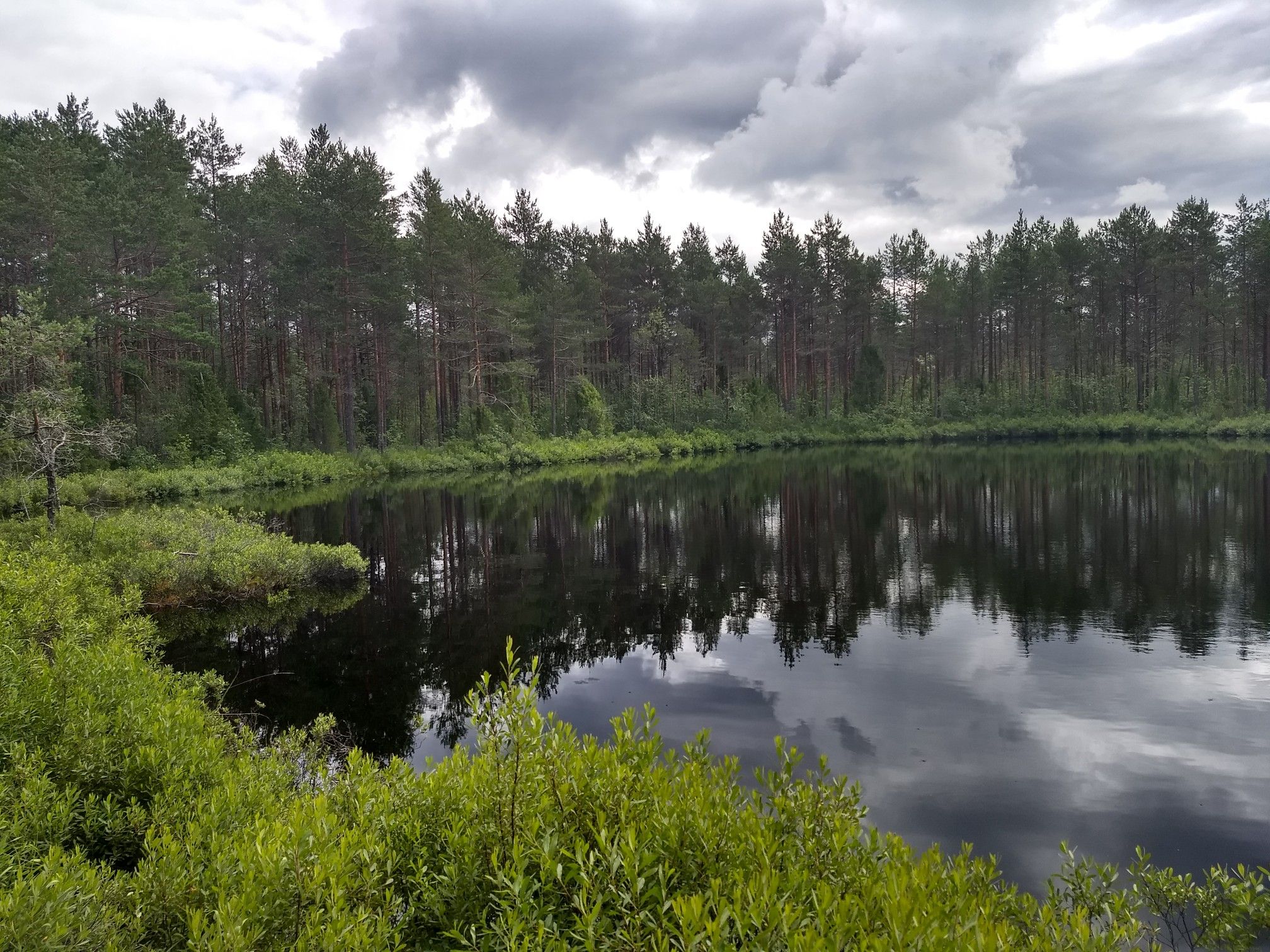 Ein kleiner See mitten im Wald