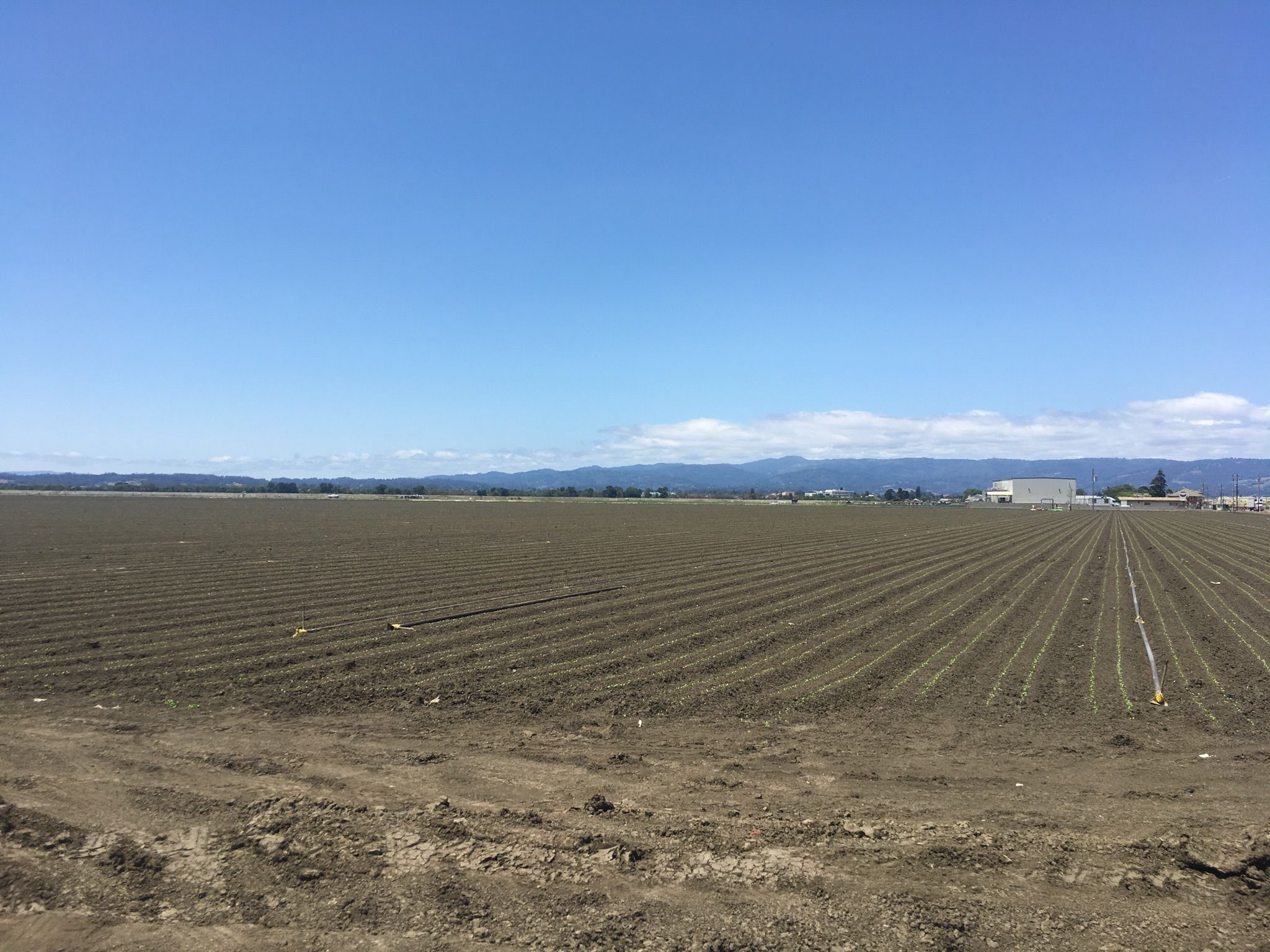A vast, freshly plowed brown field under a clear blue sky. - Riverside Road Loop