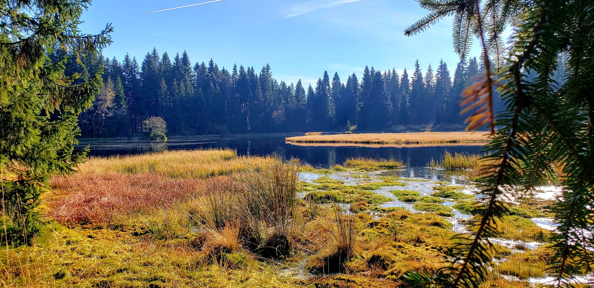 Ein Moorsee
