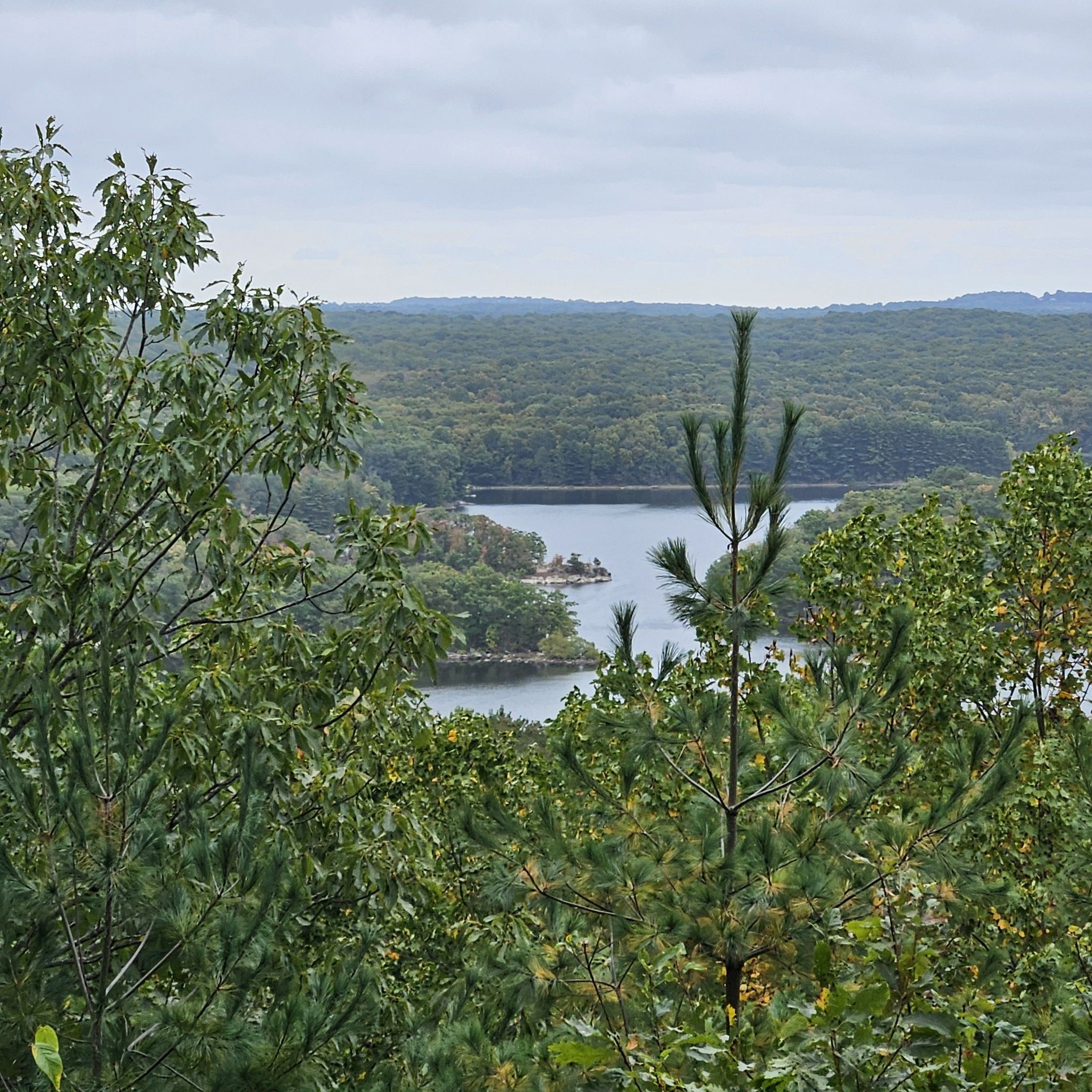 Overcast view of a lake and forest, framed by green pine trees. - Blue Blazes to The Ledge to Pillars Trail