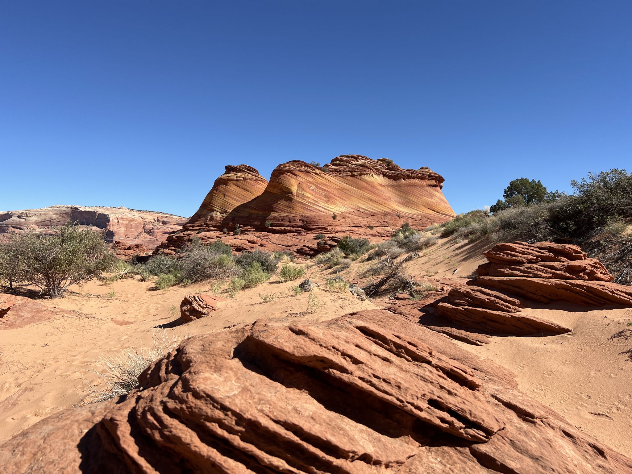 Red rock formations and sandy desert landscape under a clear blue sky. - The Wave loop from Coyote Buttes North