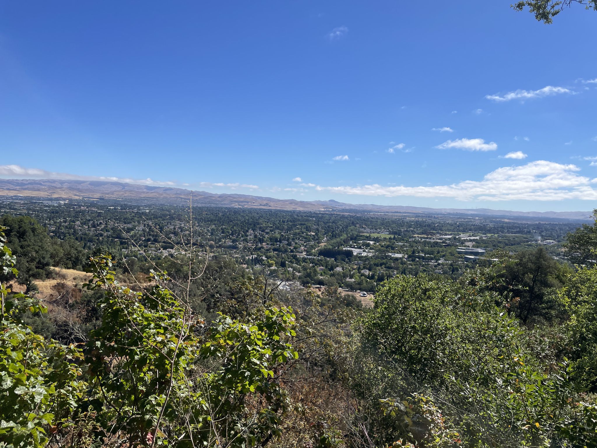 A panoramic view of a city and distant mountains from a green, tree-filled hillside. - Courdet Trail – Pleasanton Ridge viewpoint loop from Foothill High School