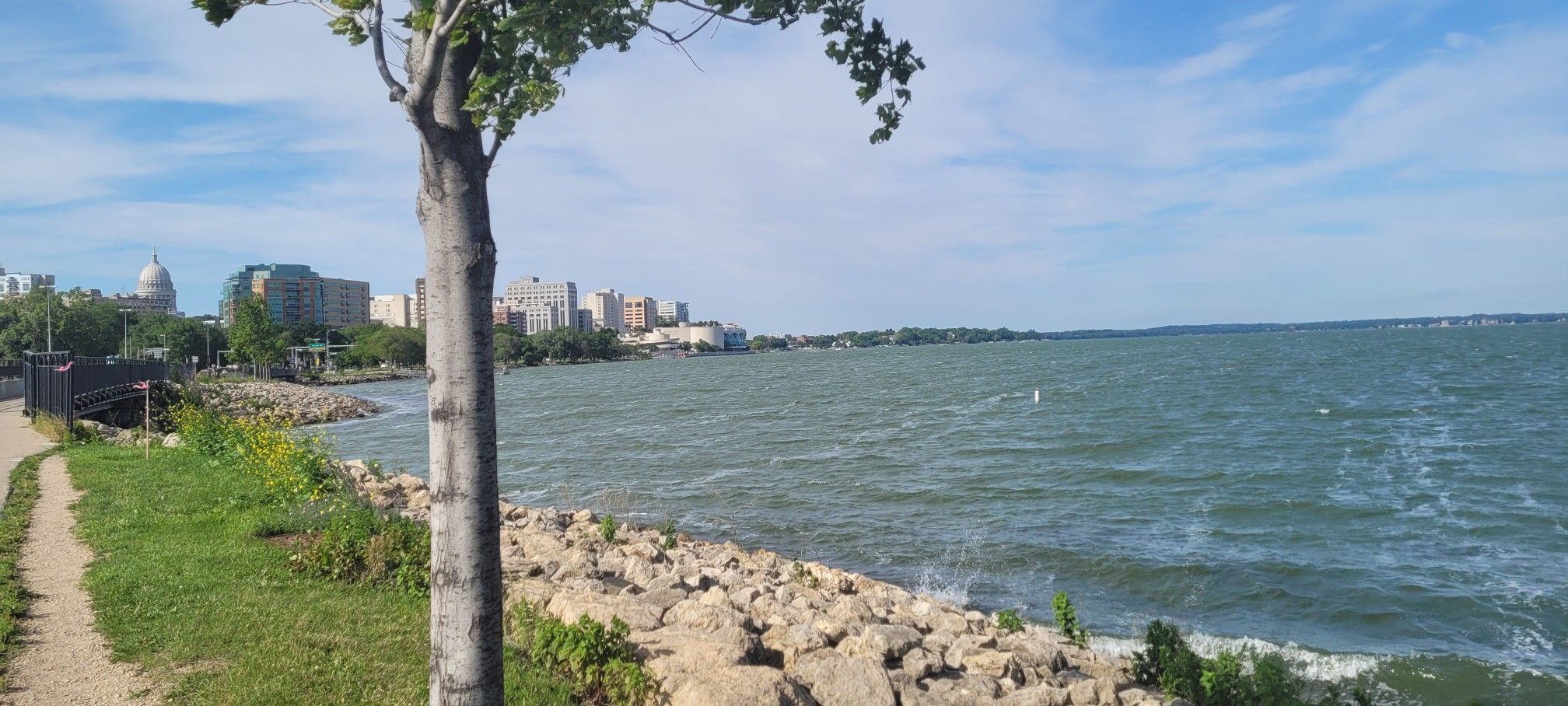 Sunny view of a large lake, rocky shore, distant city, and a tree. - Lake Wingra – Bench With View of Lake Monona loop from Madison