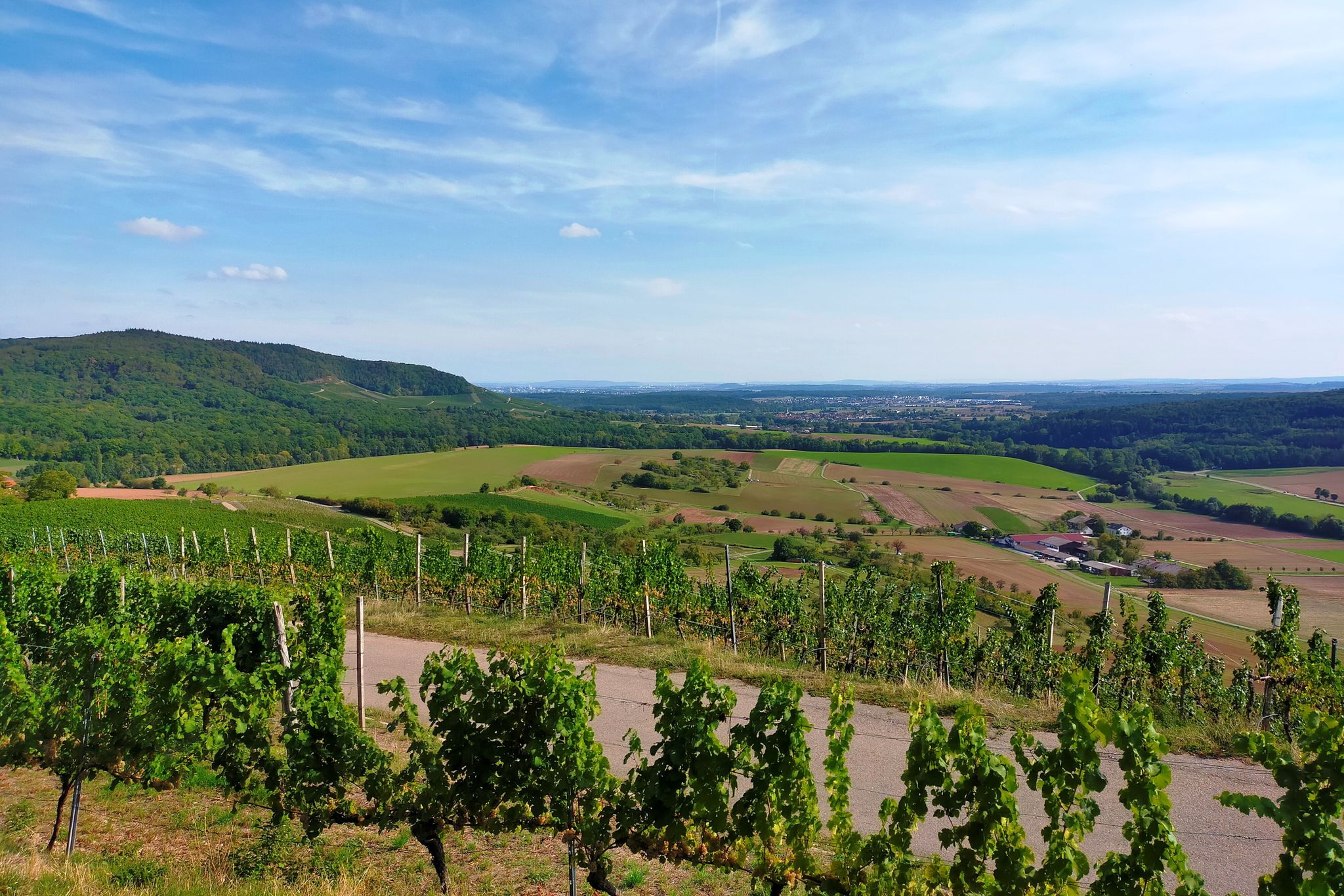 Blick nach Horrheim