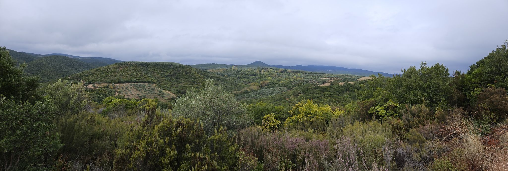 Panorama auf dem Weg