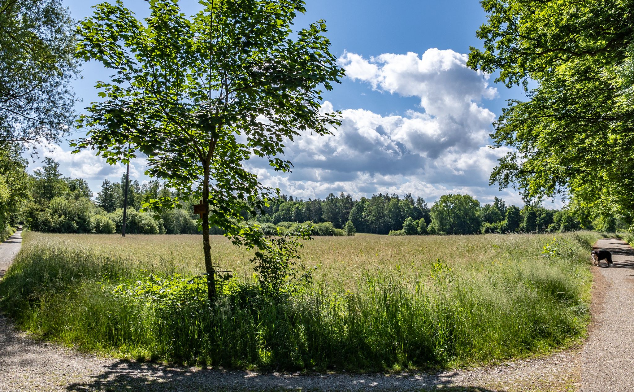 Bestes Ausflugs- und Wanderwetter